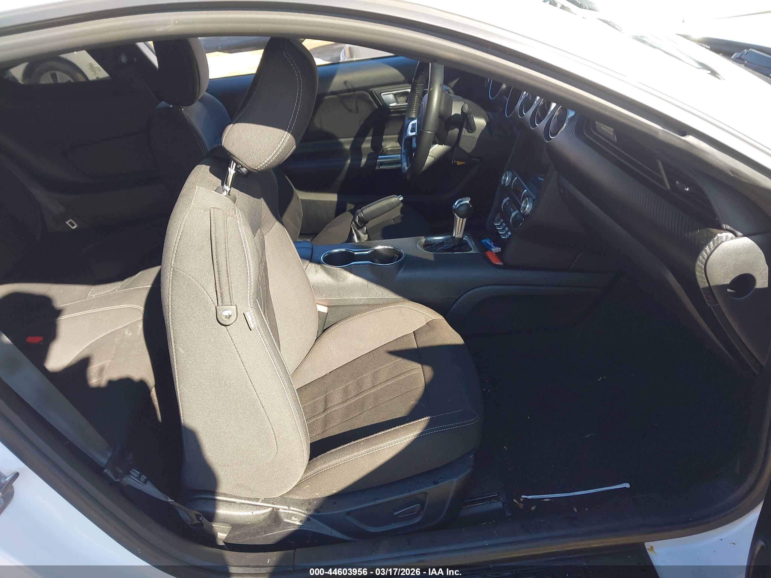 FORD MUSTANG image 5
