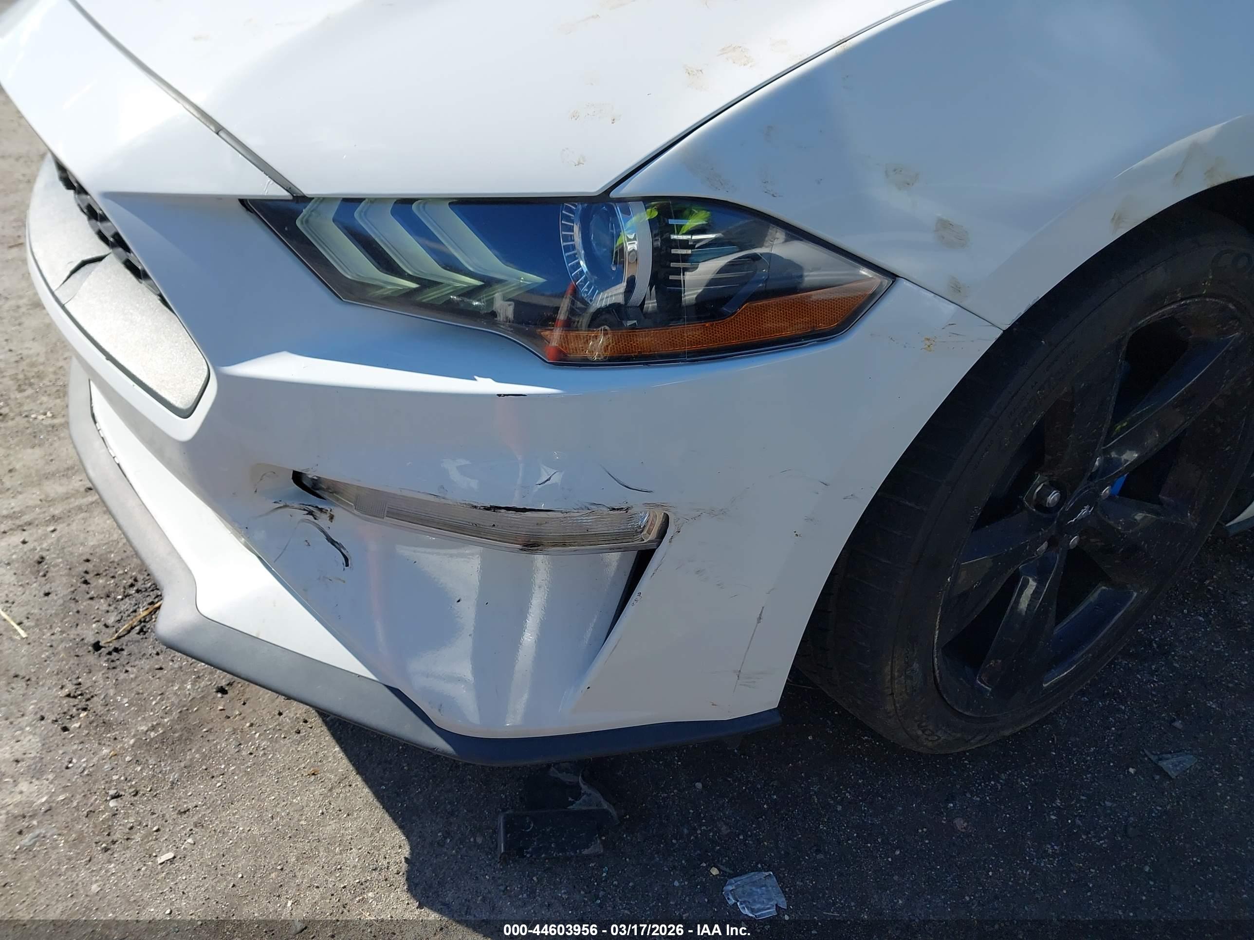 FORD MUSTANG image 6