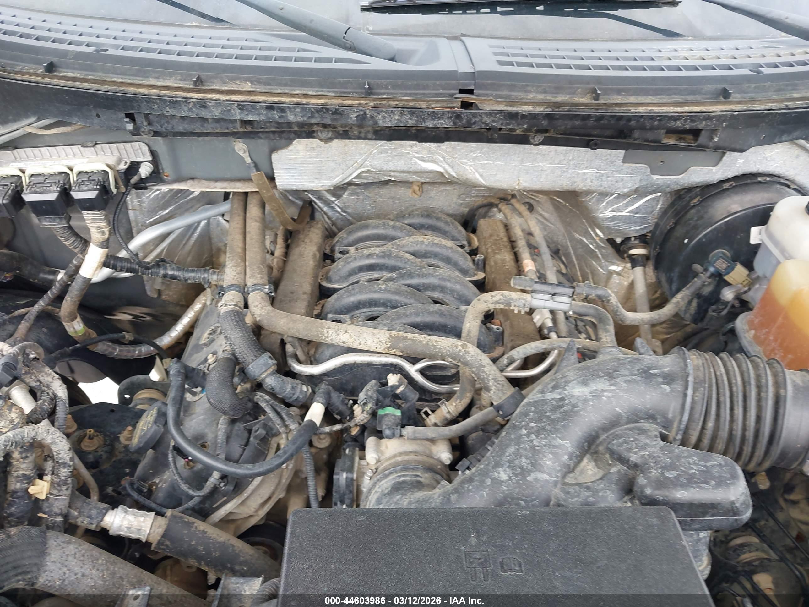FORD F-150 image 10