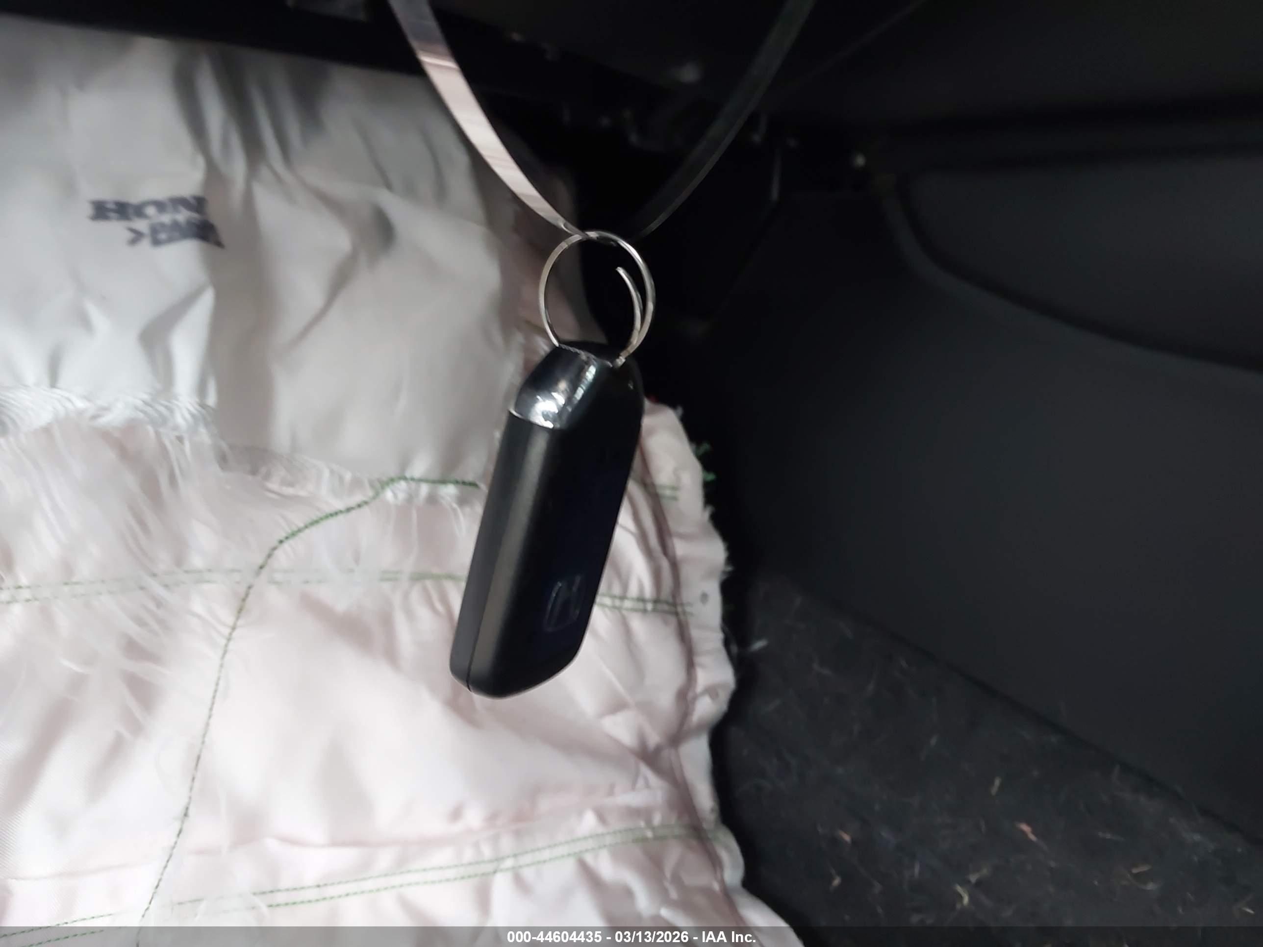 HONDA ACCORD image 11