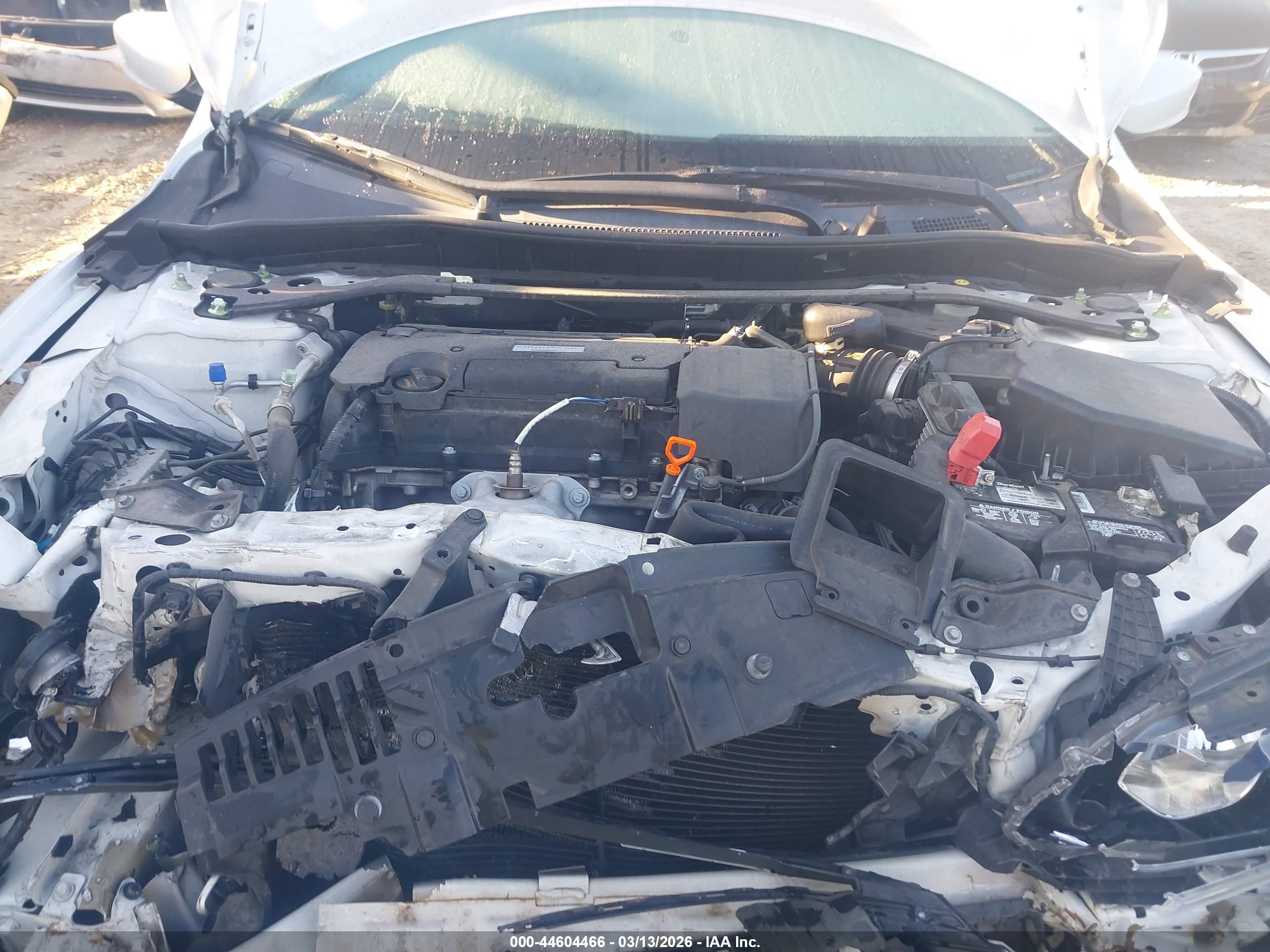HONDA ACCORD image 10
