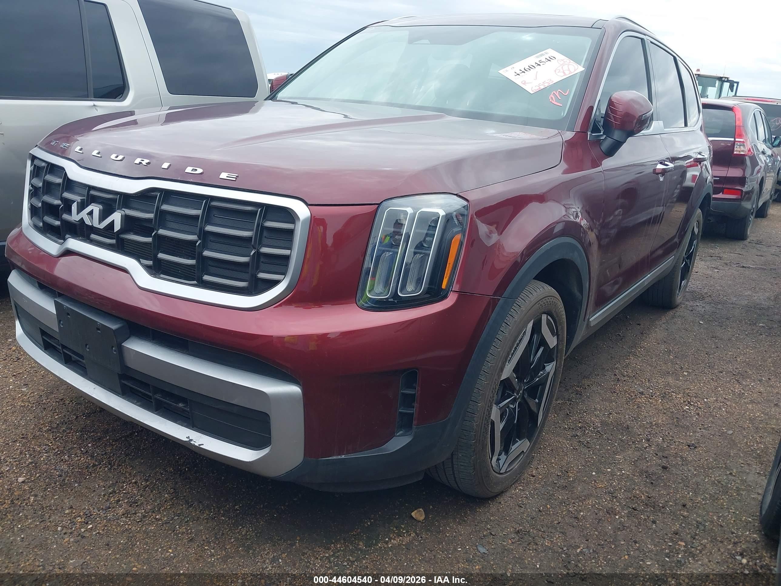 KIA TELLURIDE image 2