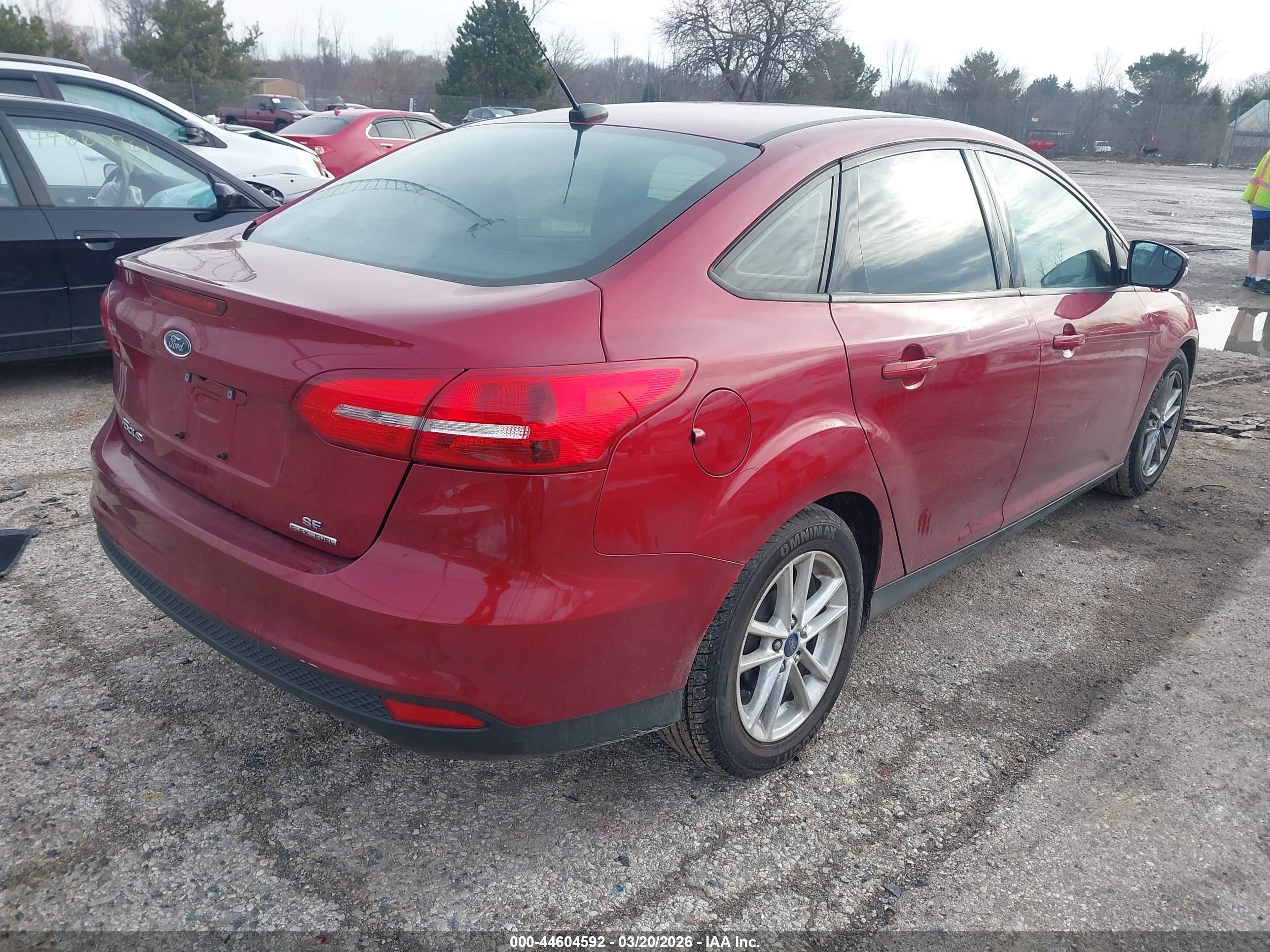 FORD FOCUS image 4