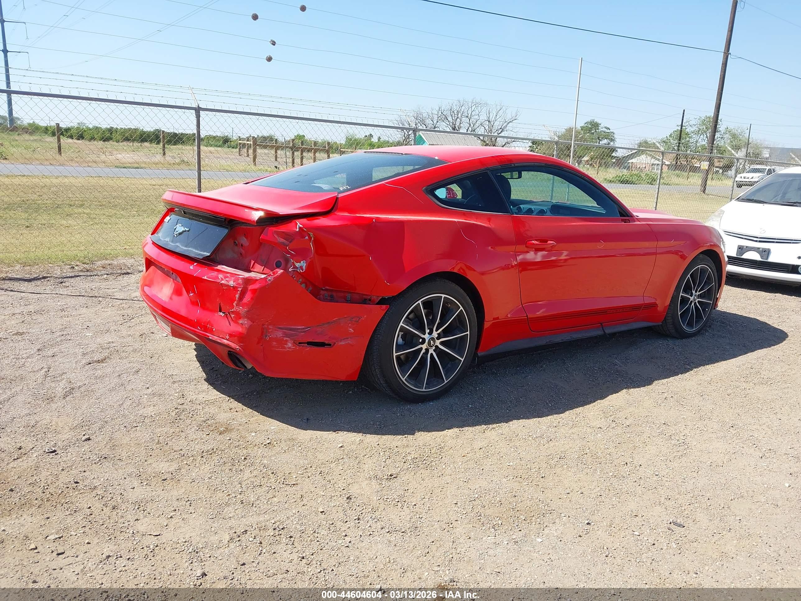 FORD MUSTANG image 4