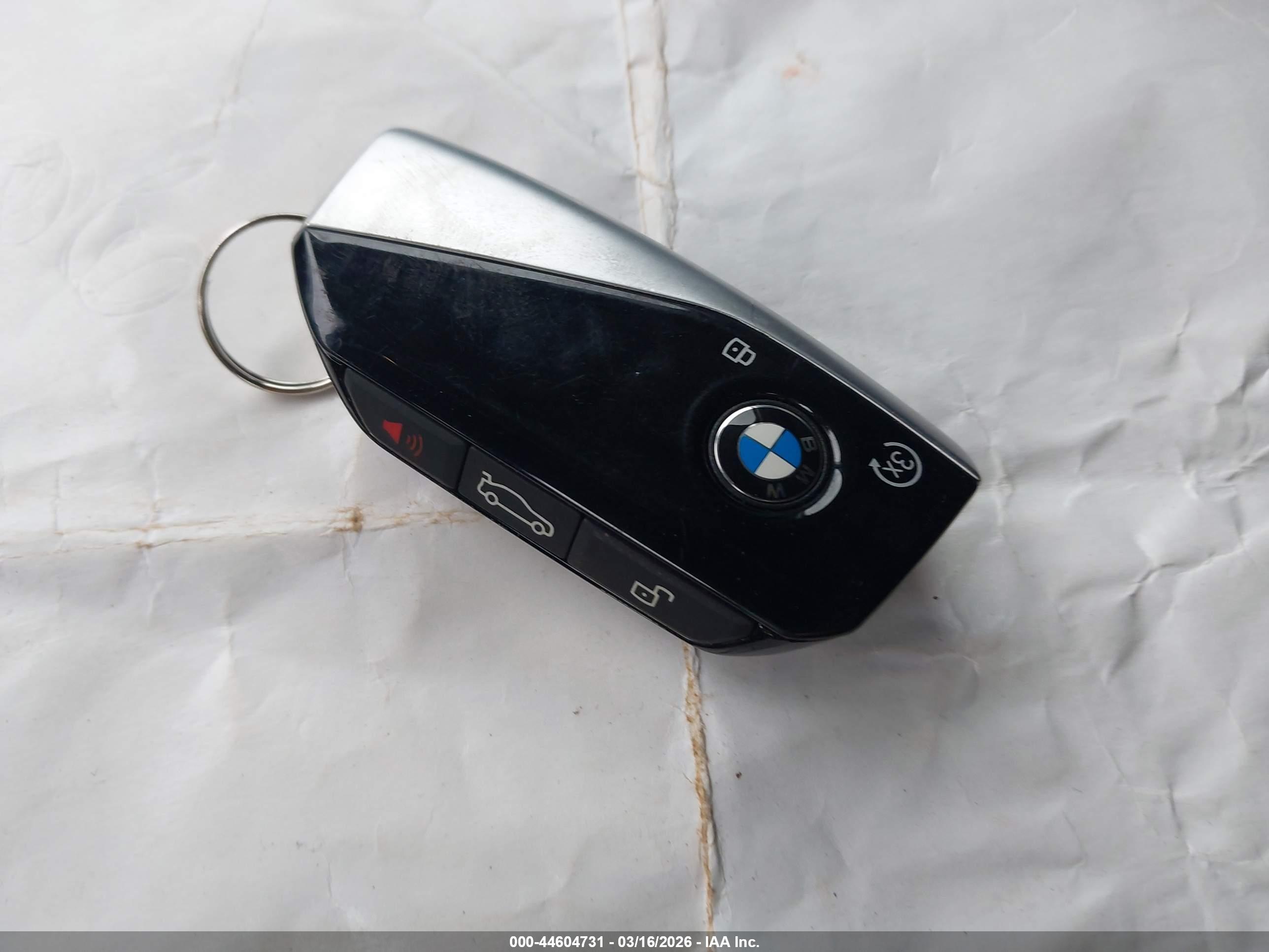 BMW X7 image 11