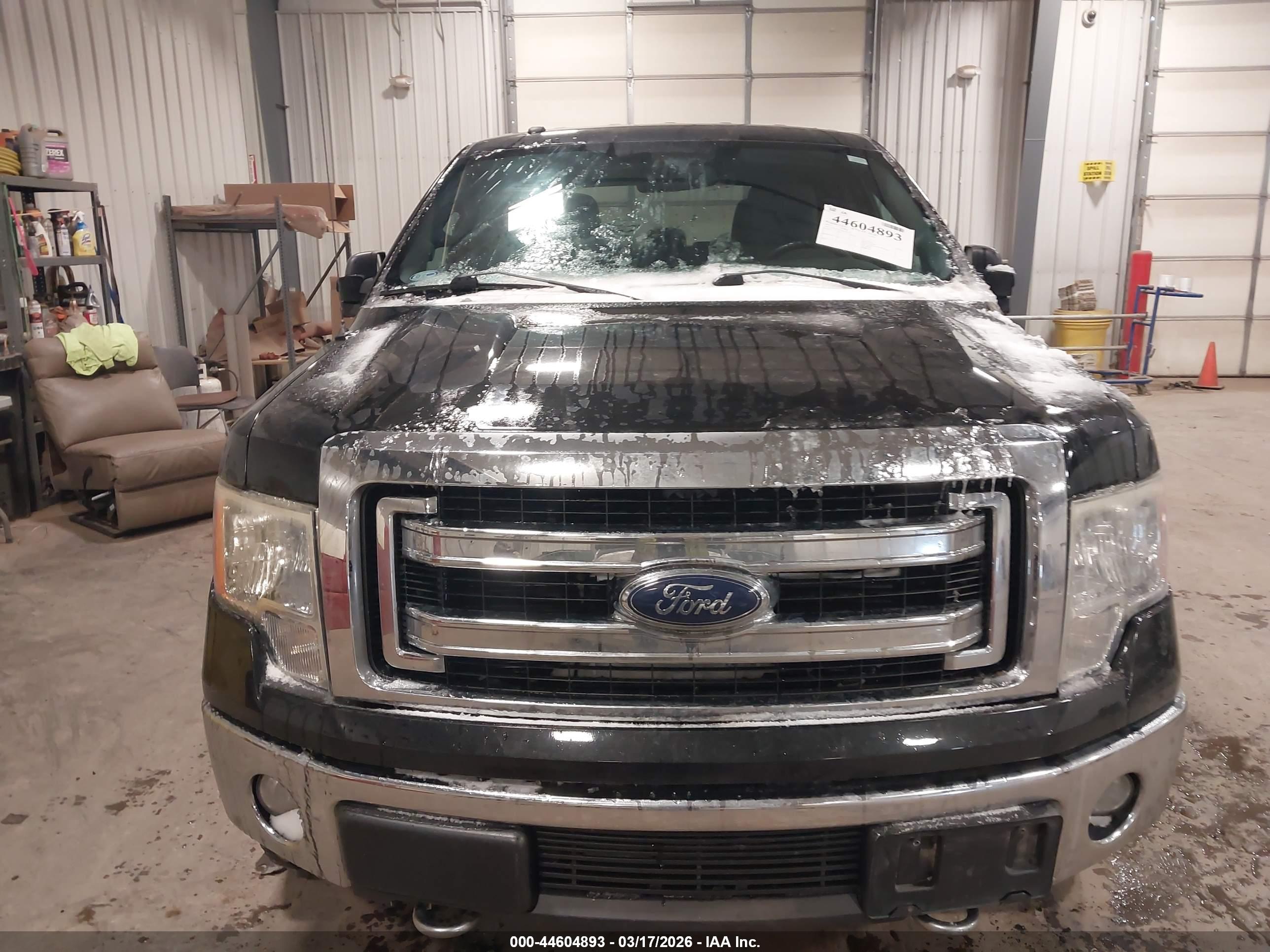 FORD F-150 image 6