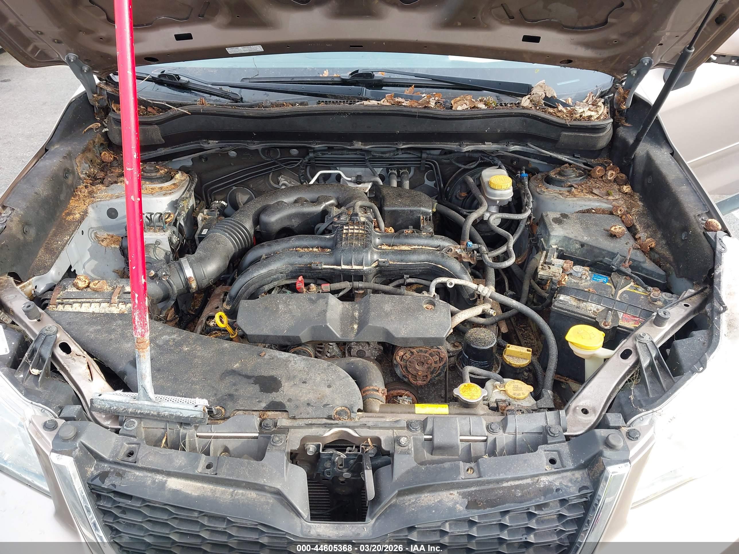 SUBARU FORESTER image 10