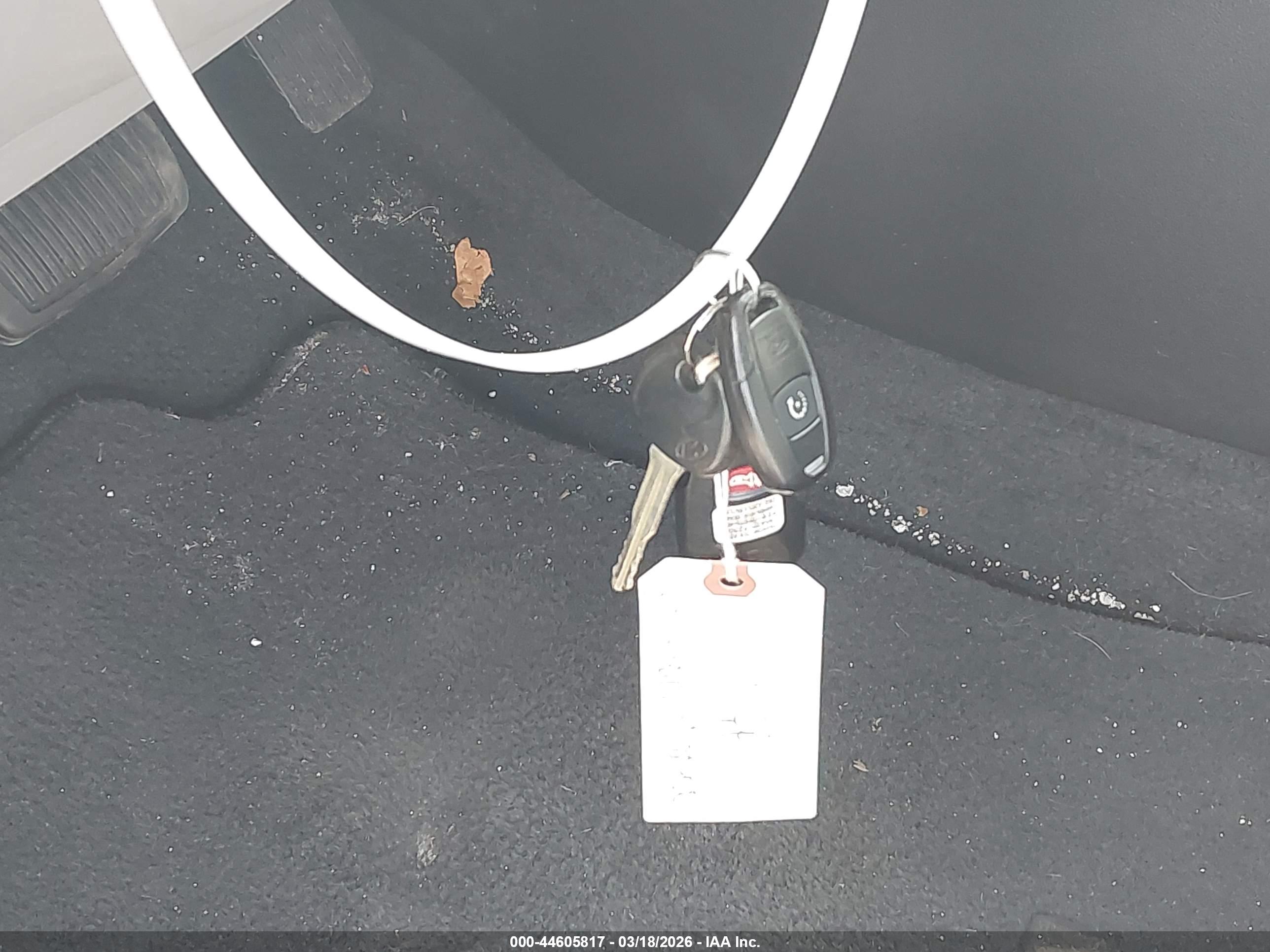 HYUNDAI ELANTRA image 11