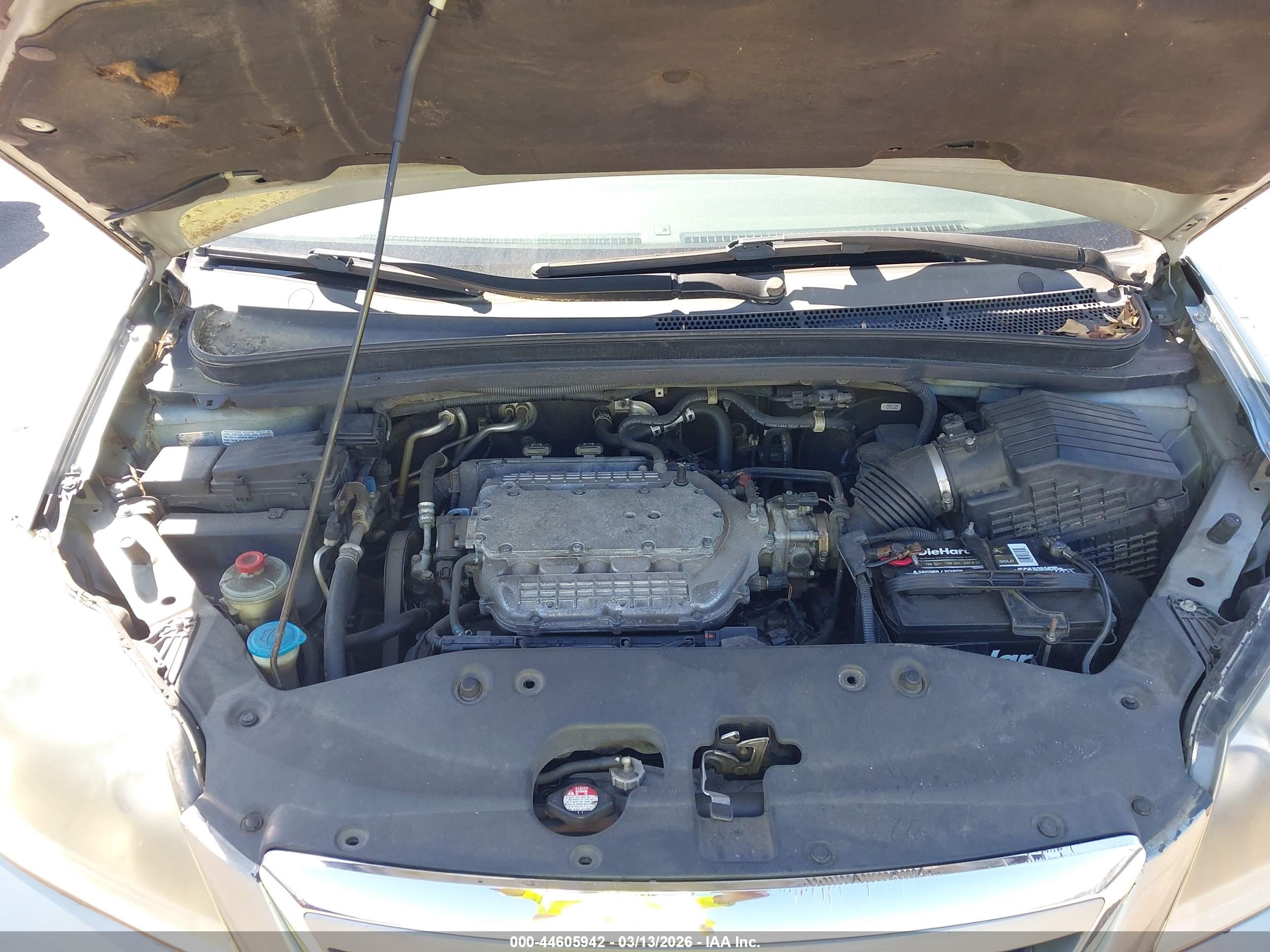 HONDA ODYSSEY image 10