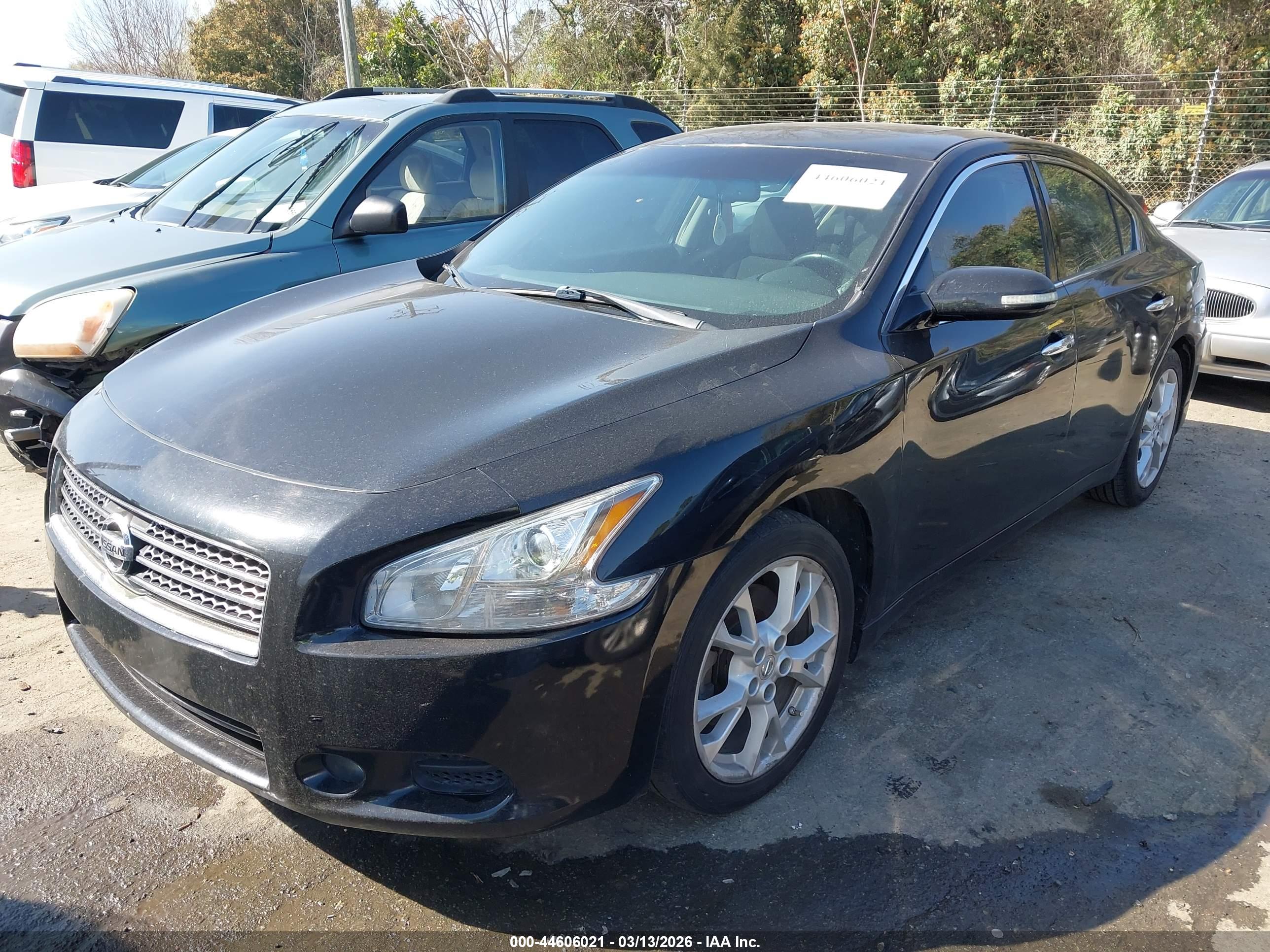 NISSAN MAXIMA image 2