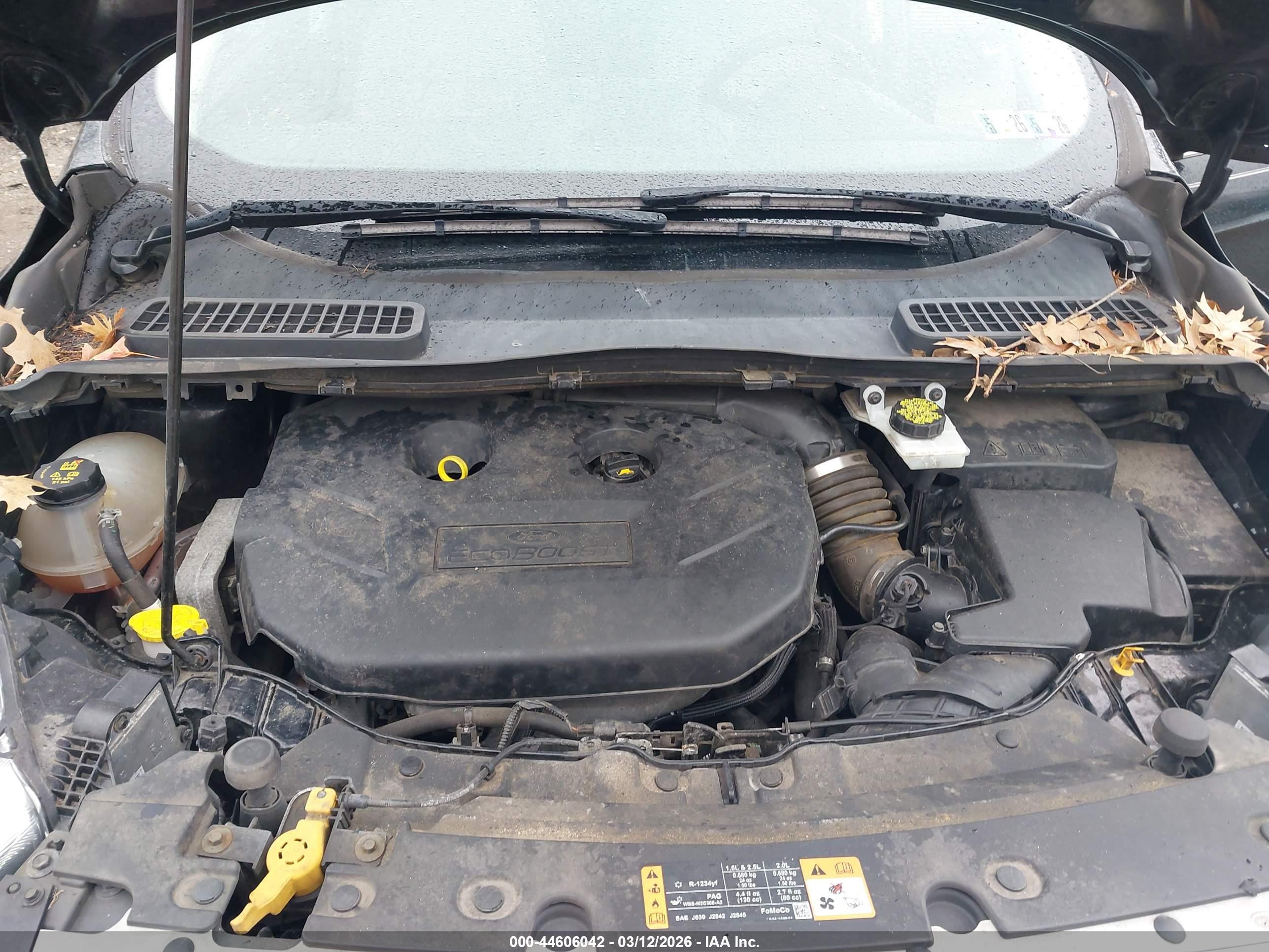 FORD ESCAPE image 10