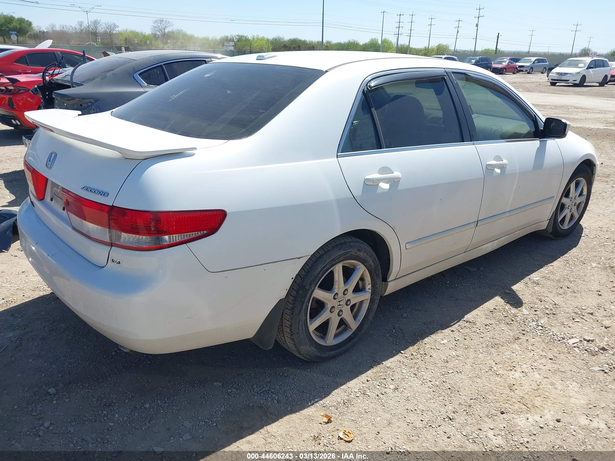 HONDA ACCORD image 4