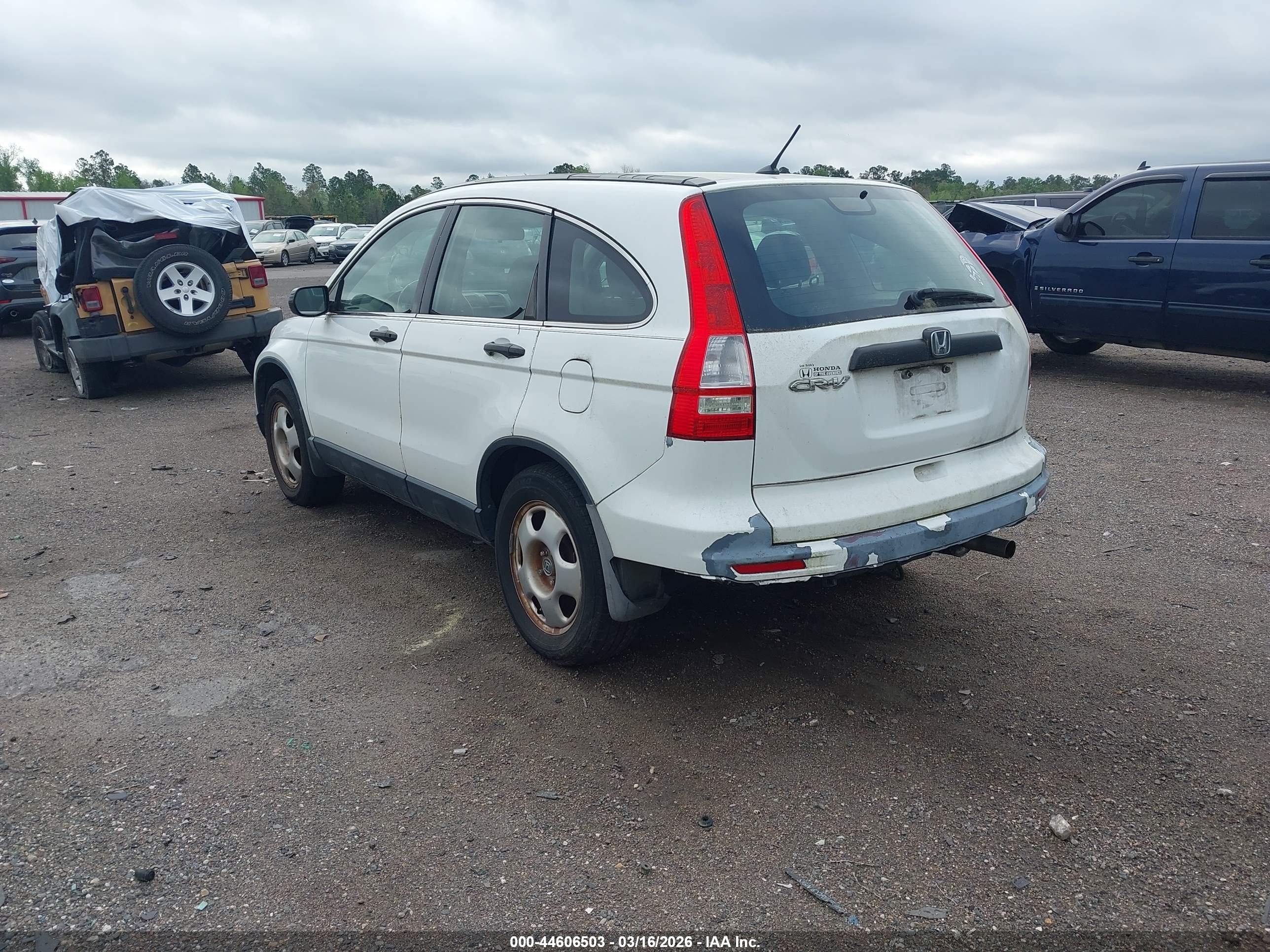 HONDA CR-V image 3