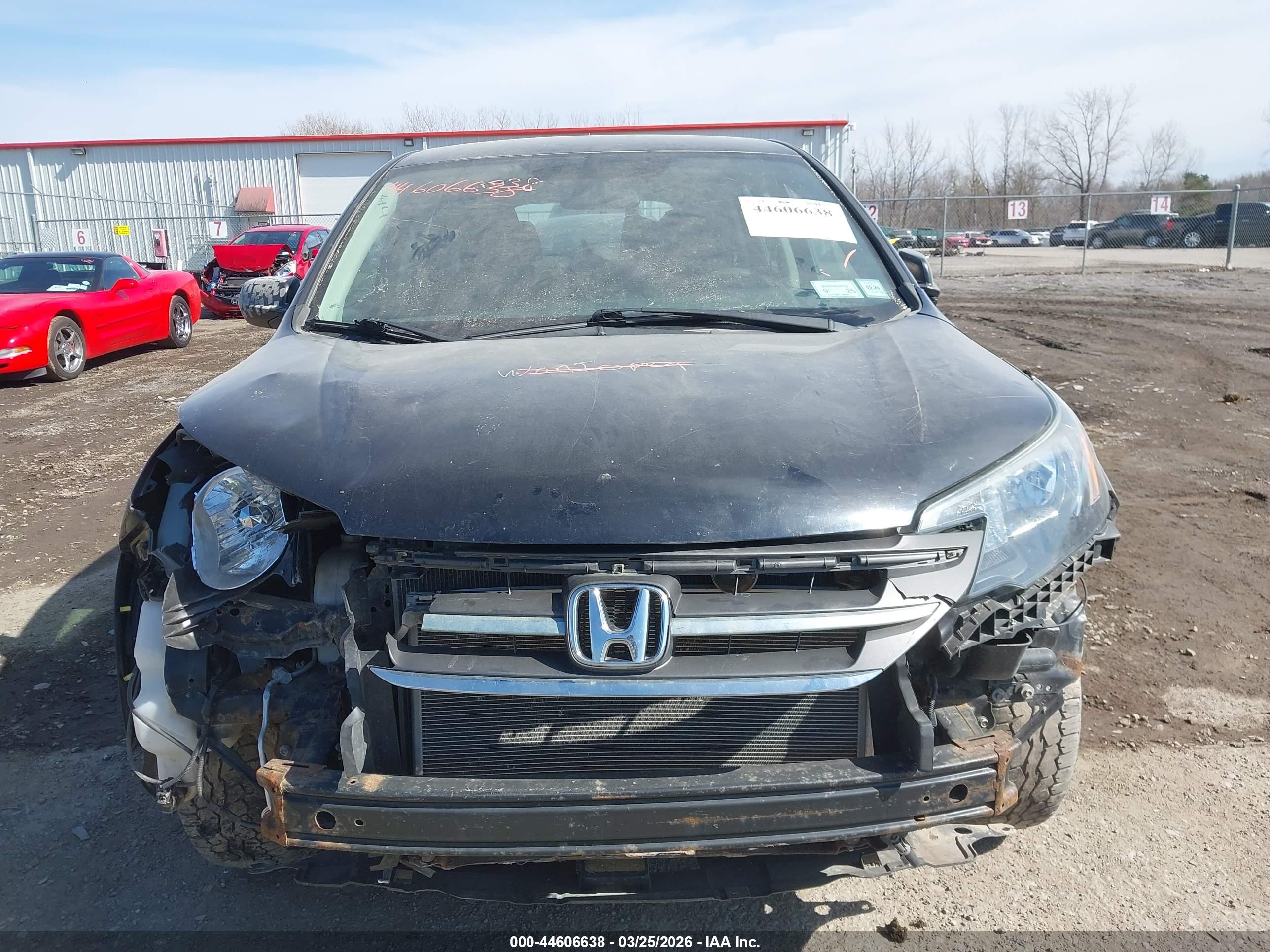 HONDA CR-V image 6
