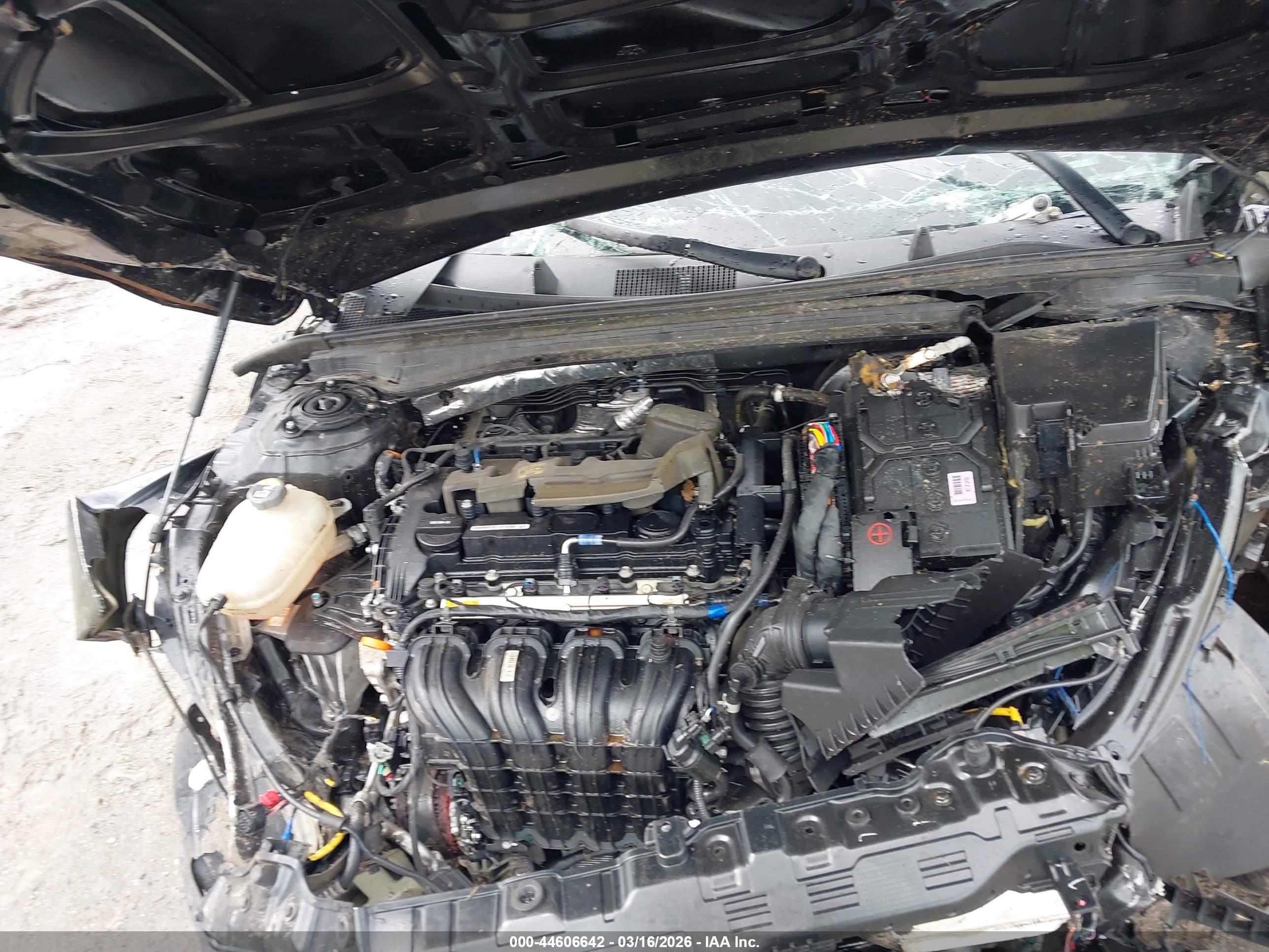 KIA K5 image 10