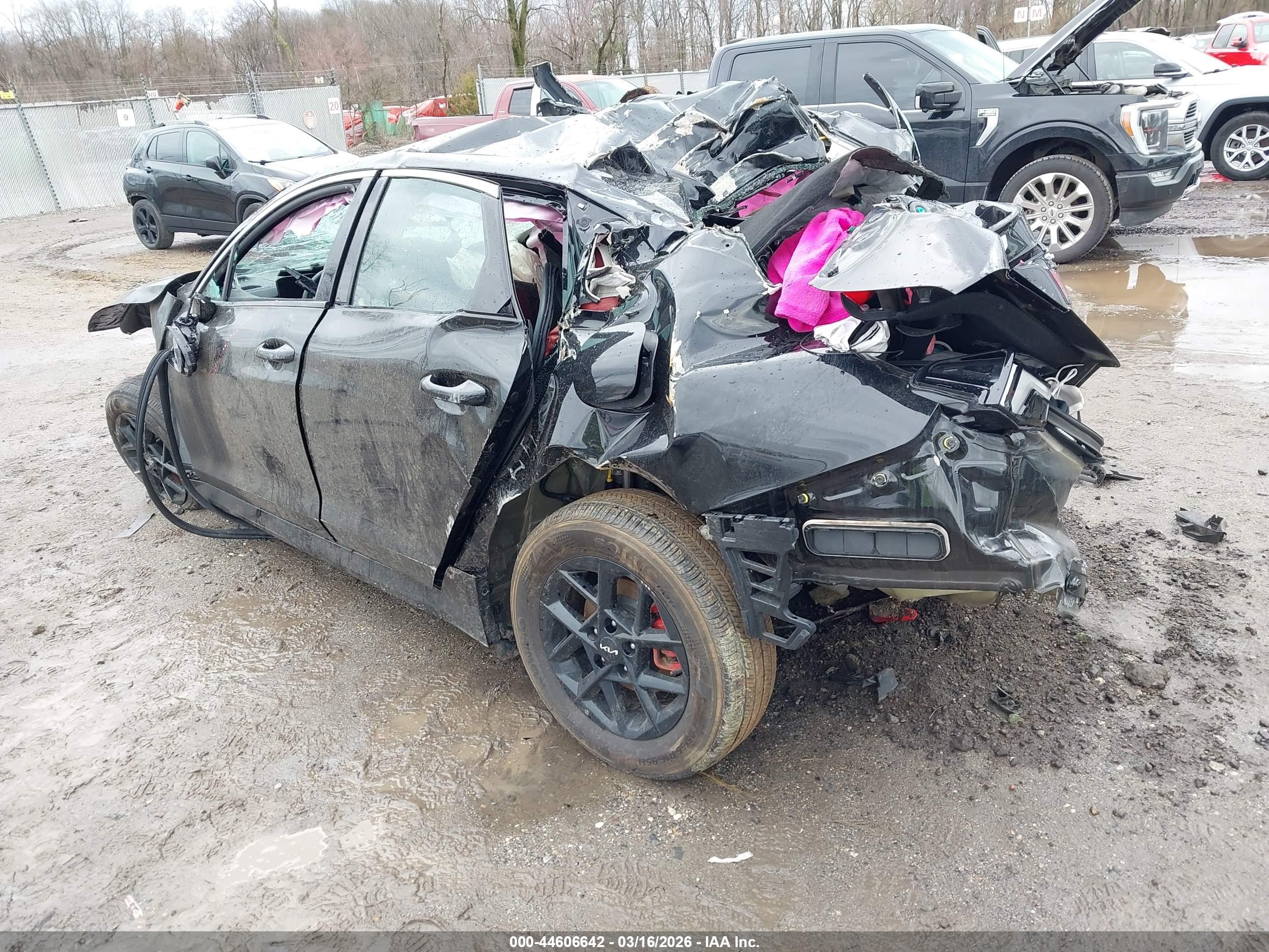 KIA K5 image 3