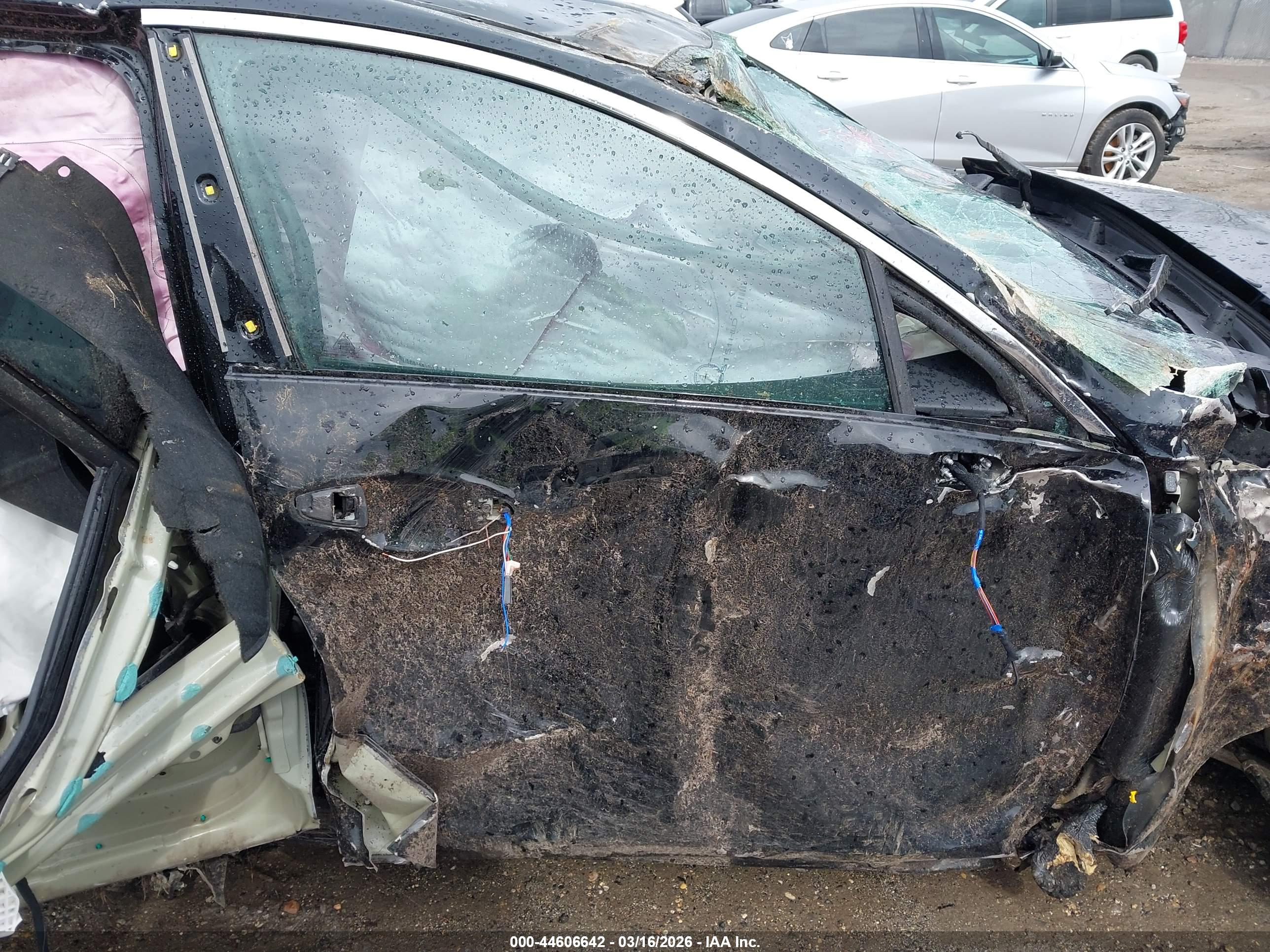 KIA K5 image 5