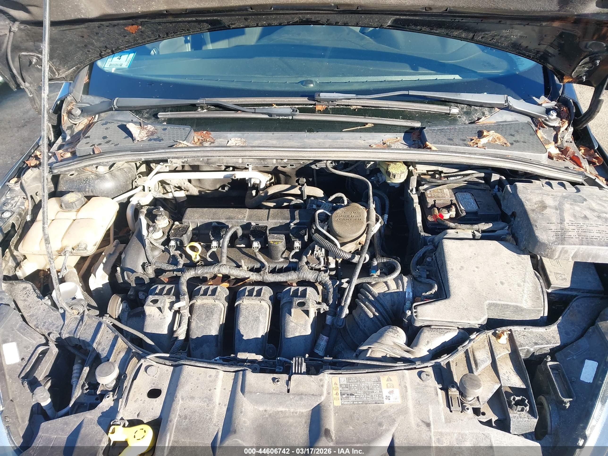 FORD FOCUS image 10