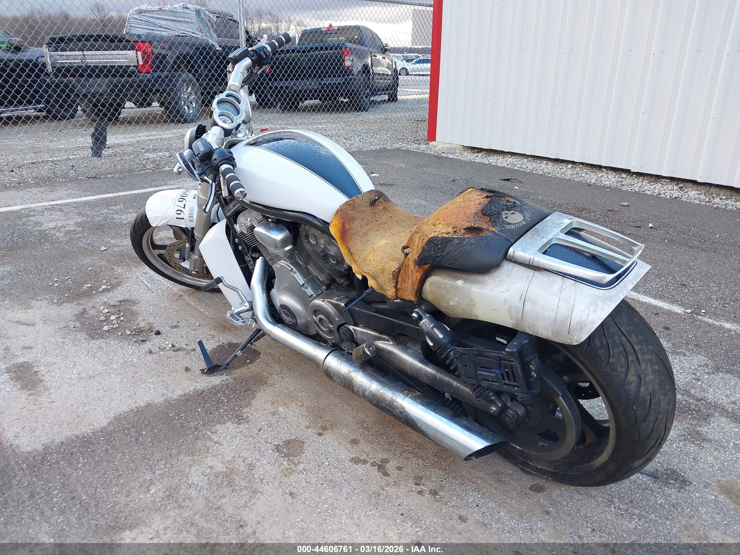 HARLEY-DAVIDSON VRSCF image 3