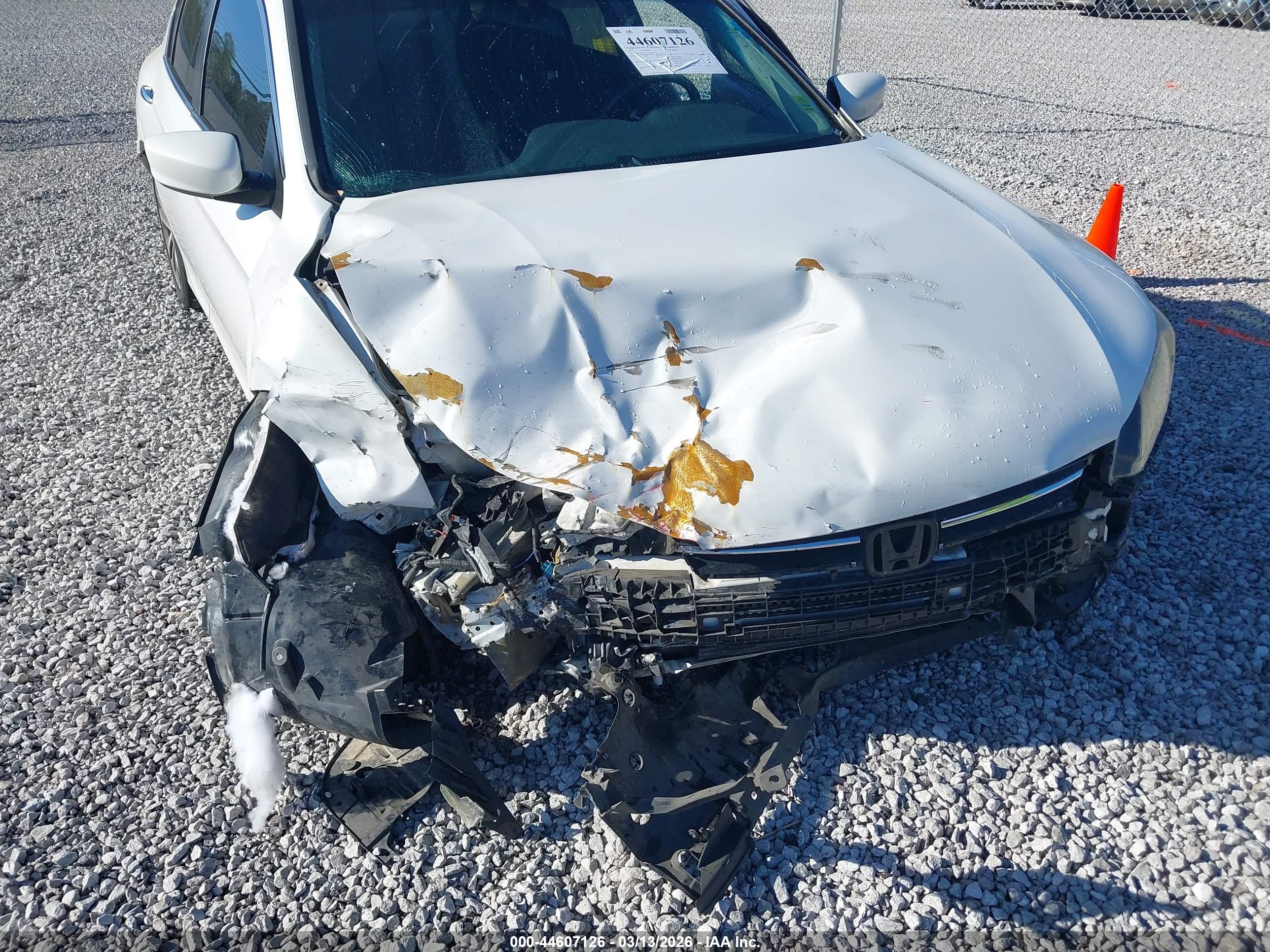 HONDA ACCORD image 6
