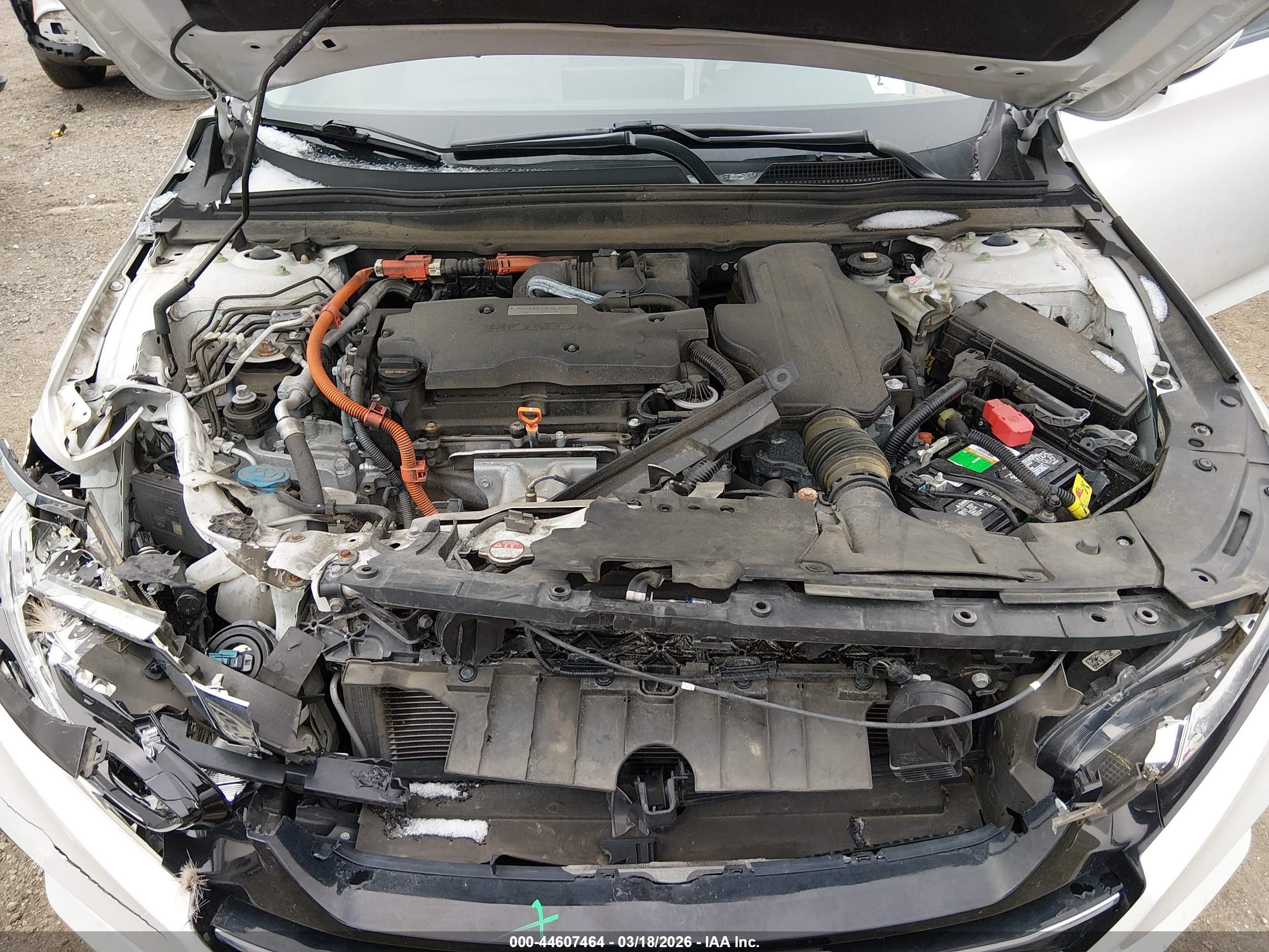 HONDA ACCORD image 10