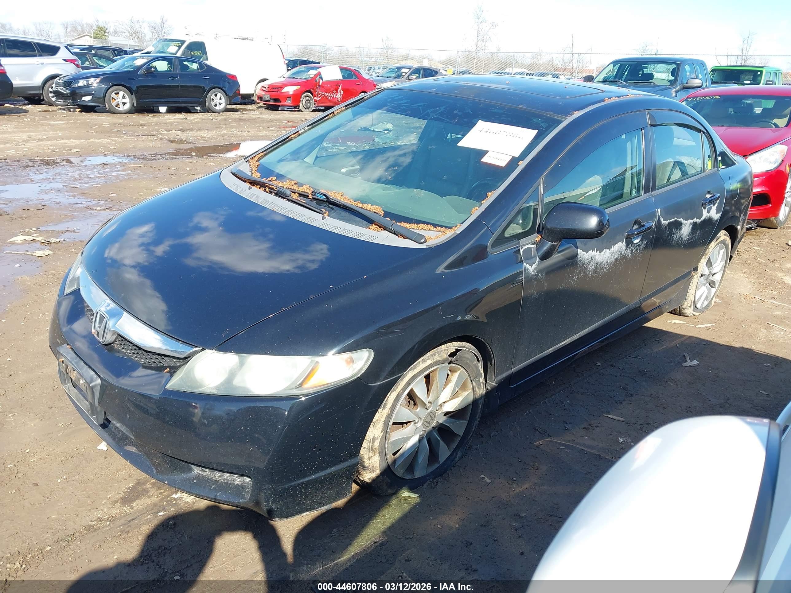 HONDA CIVIC image 2