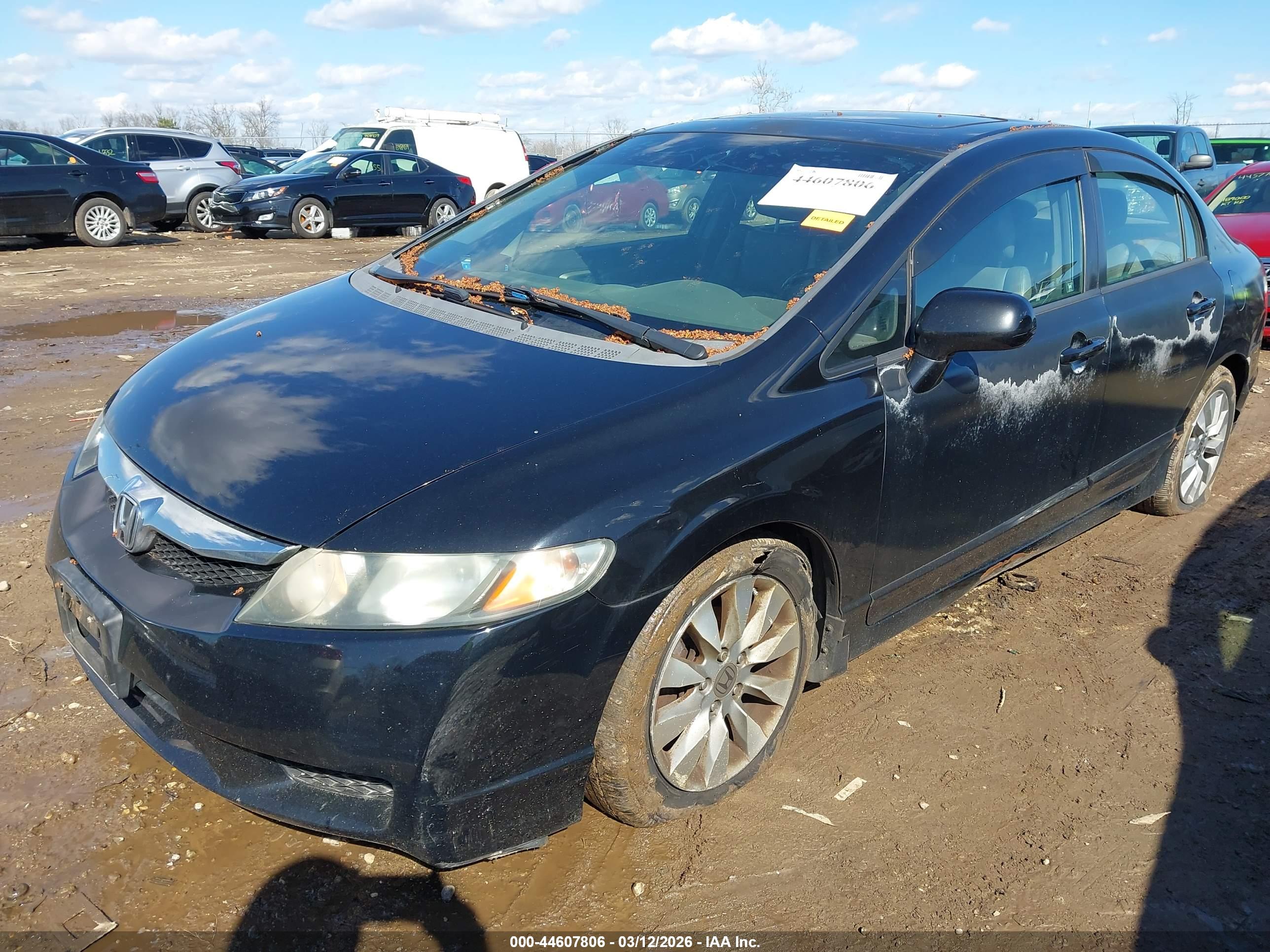 HONDA CIVIC image 6
