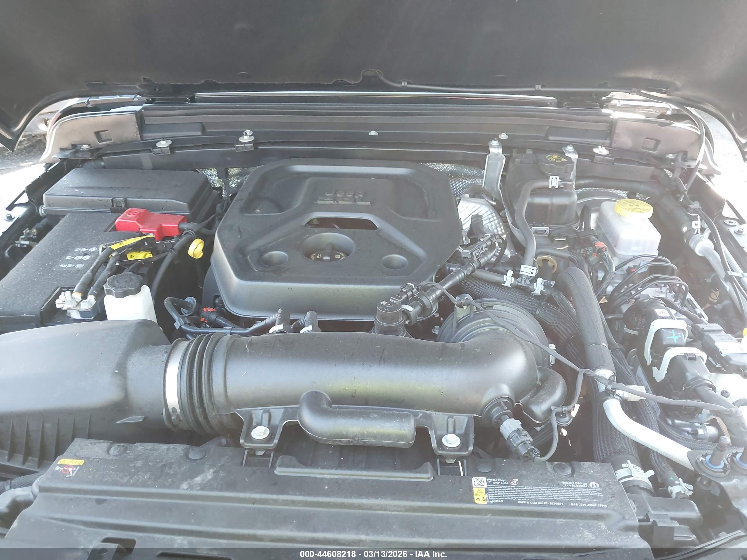 JEEP WRANGLER image 10