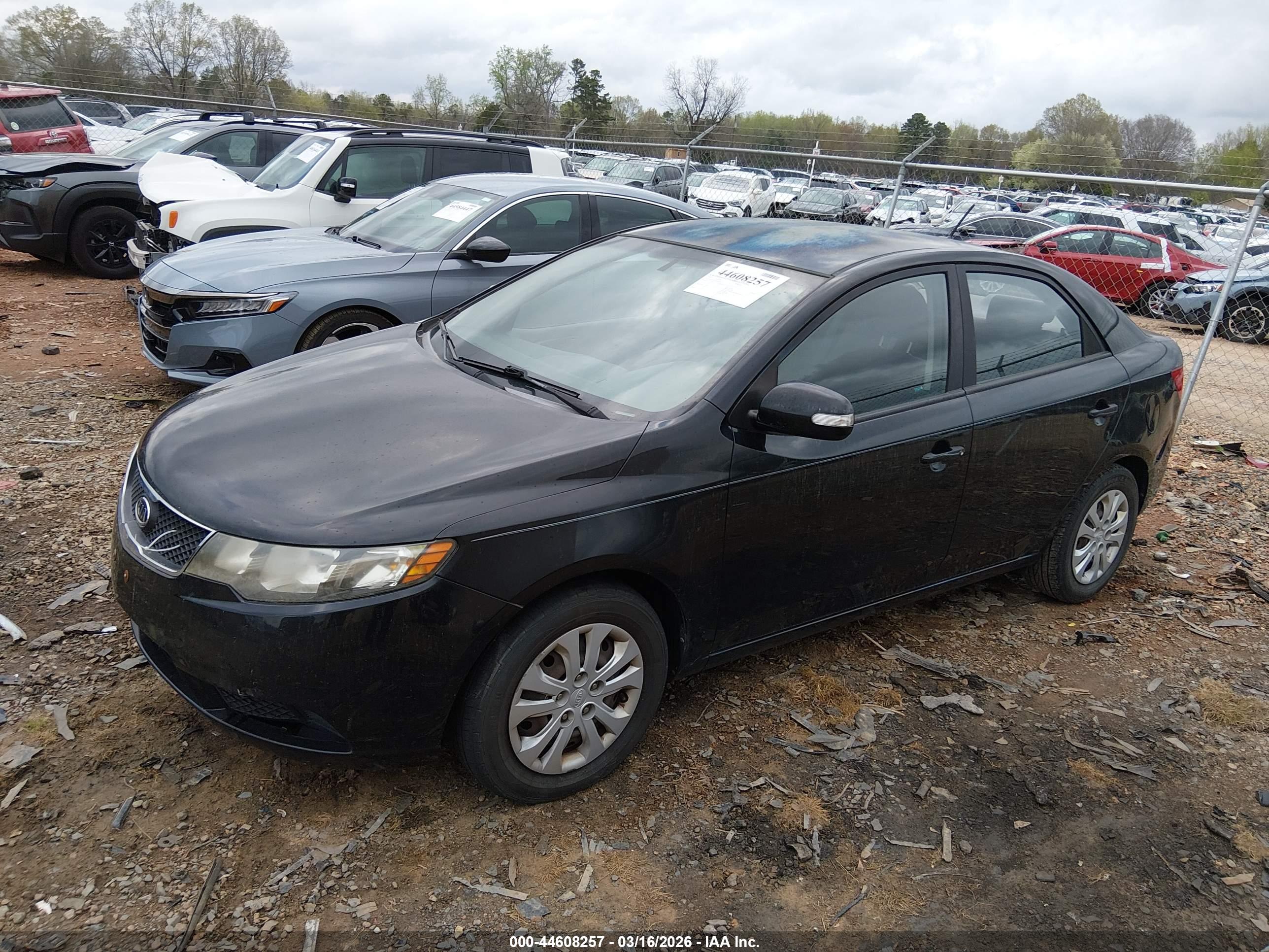 KIA FORTE image 2