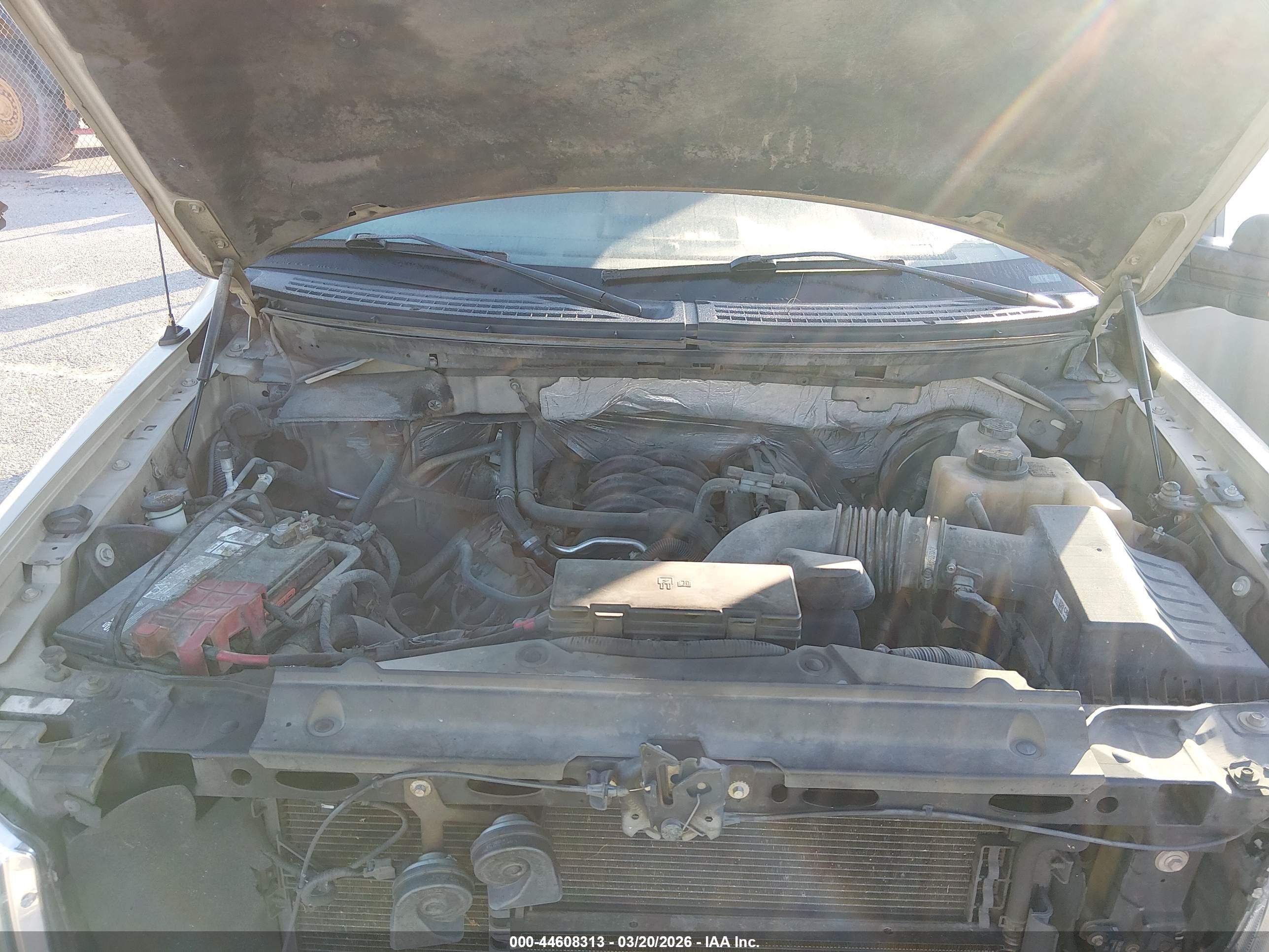 FORD F-150 image 10