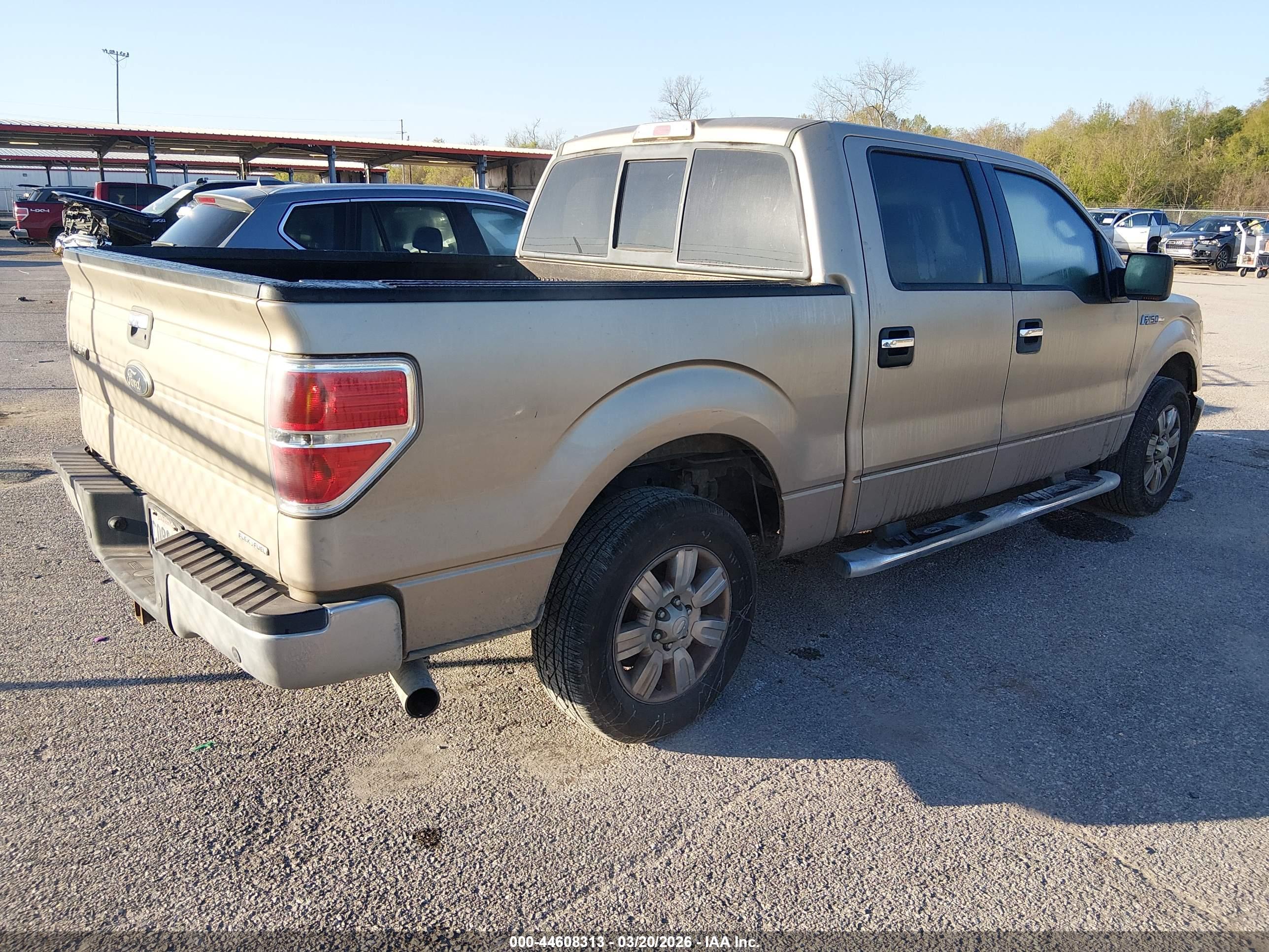 FORD F-150 image 4