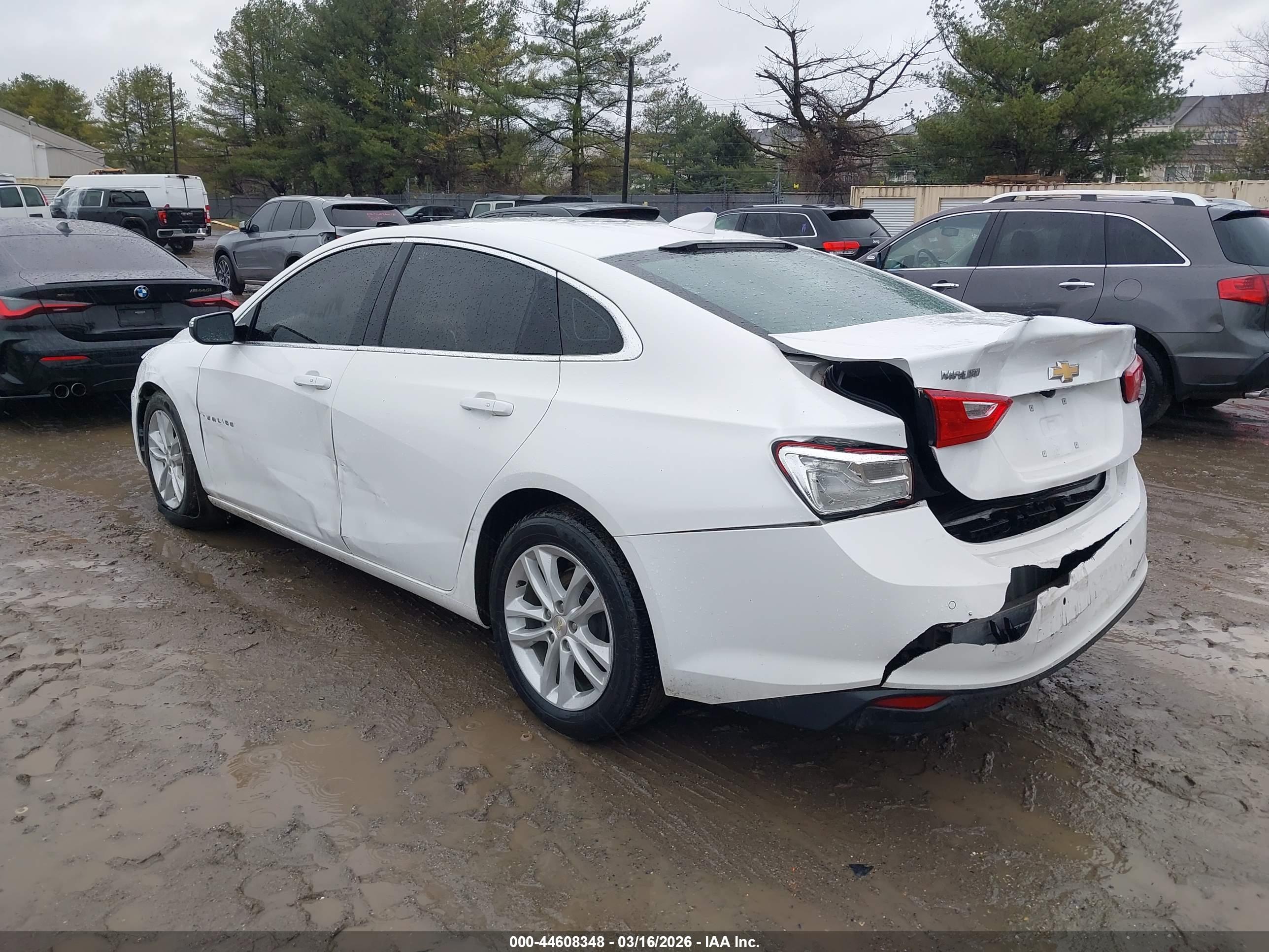 CHEVROLET MALIBU image 3