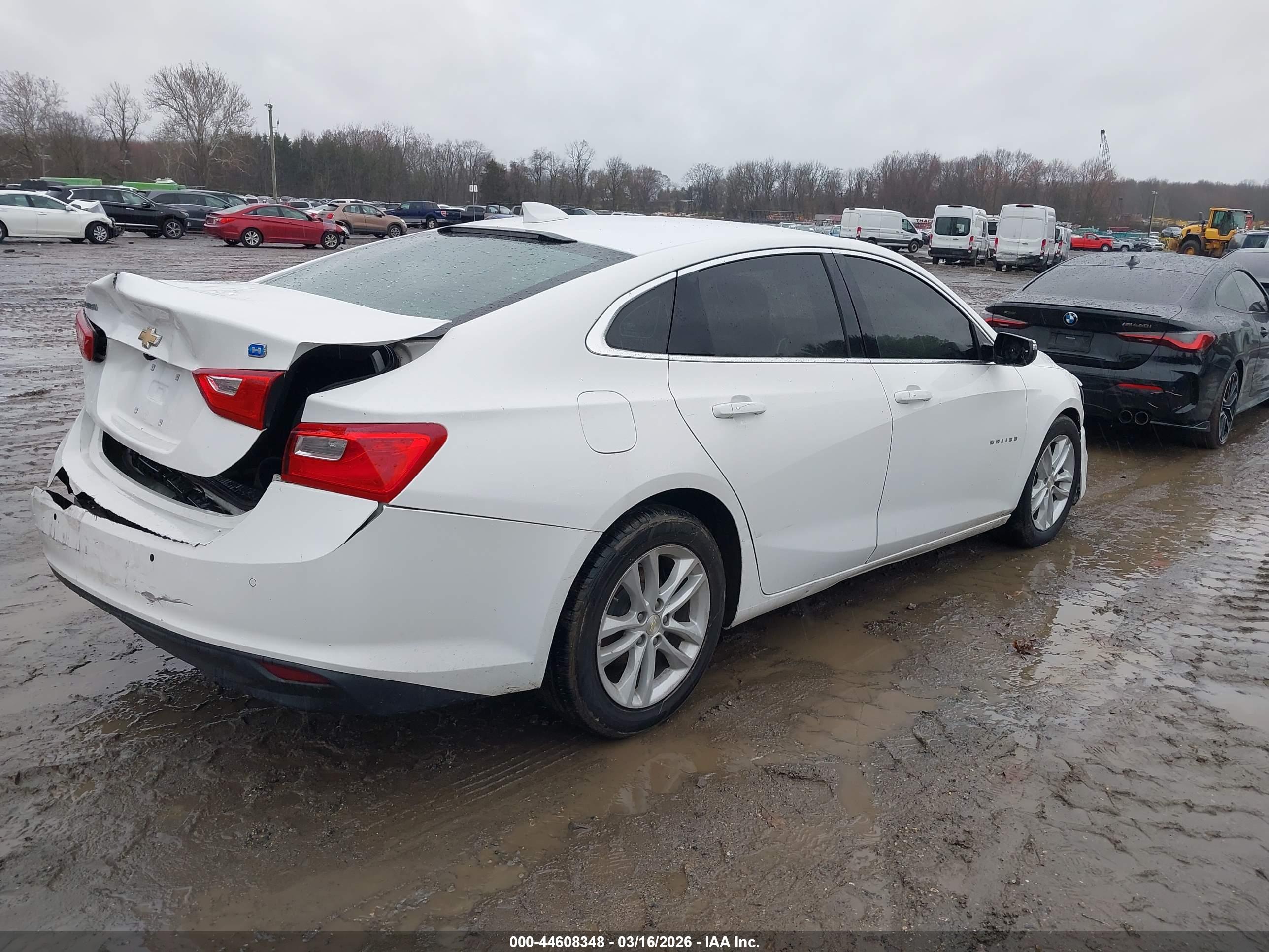 CHEVROLET MALIBU image 4