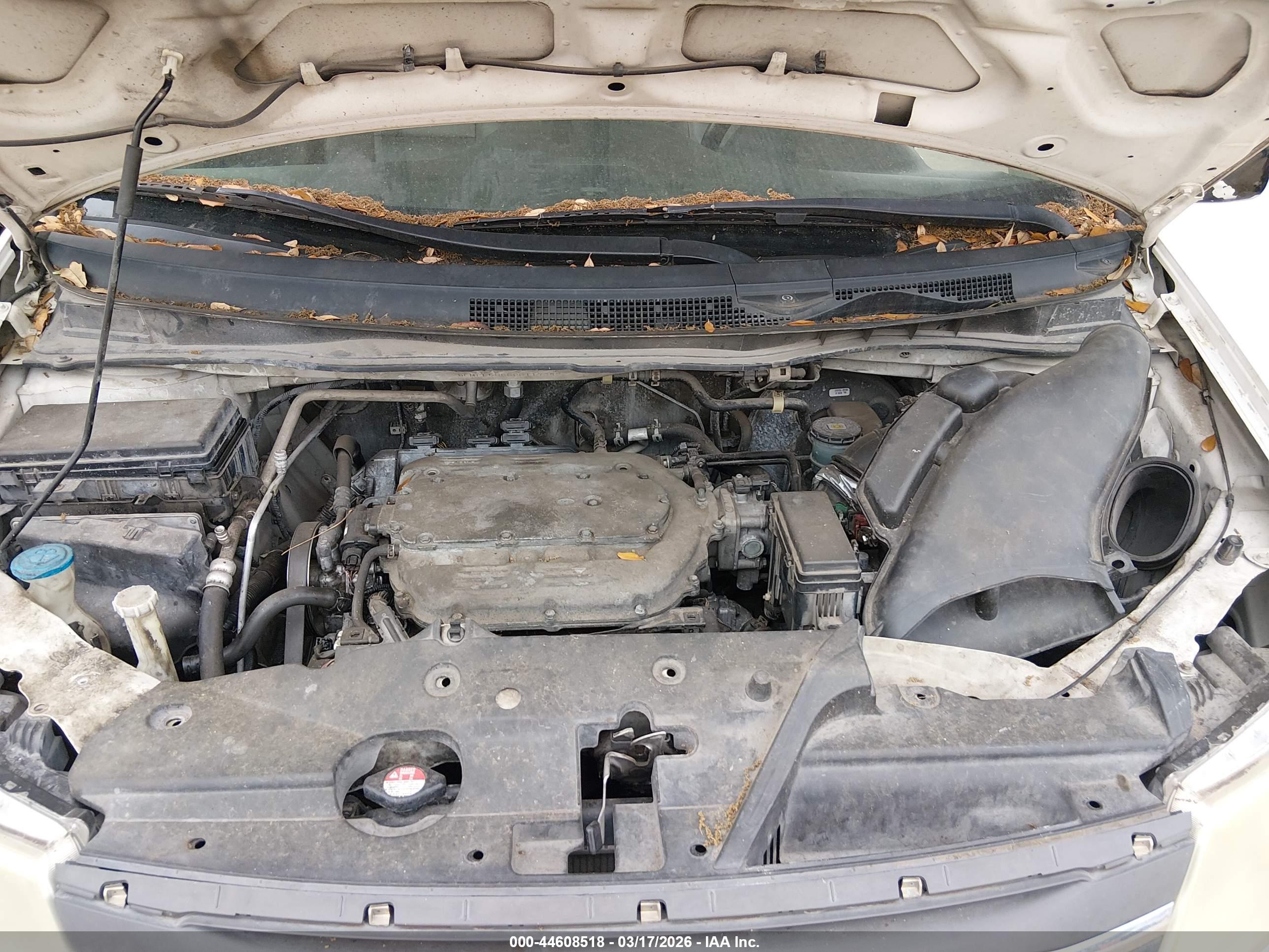 HONDA ODYSSEY image 10