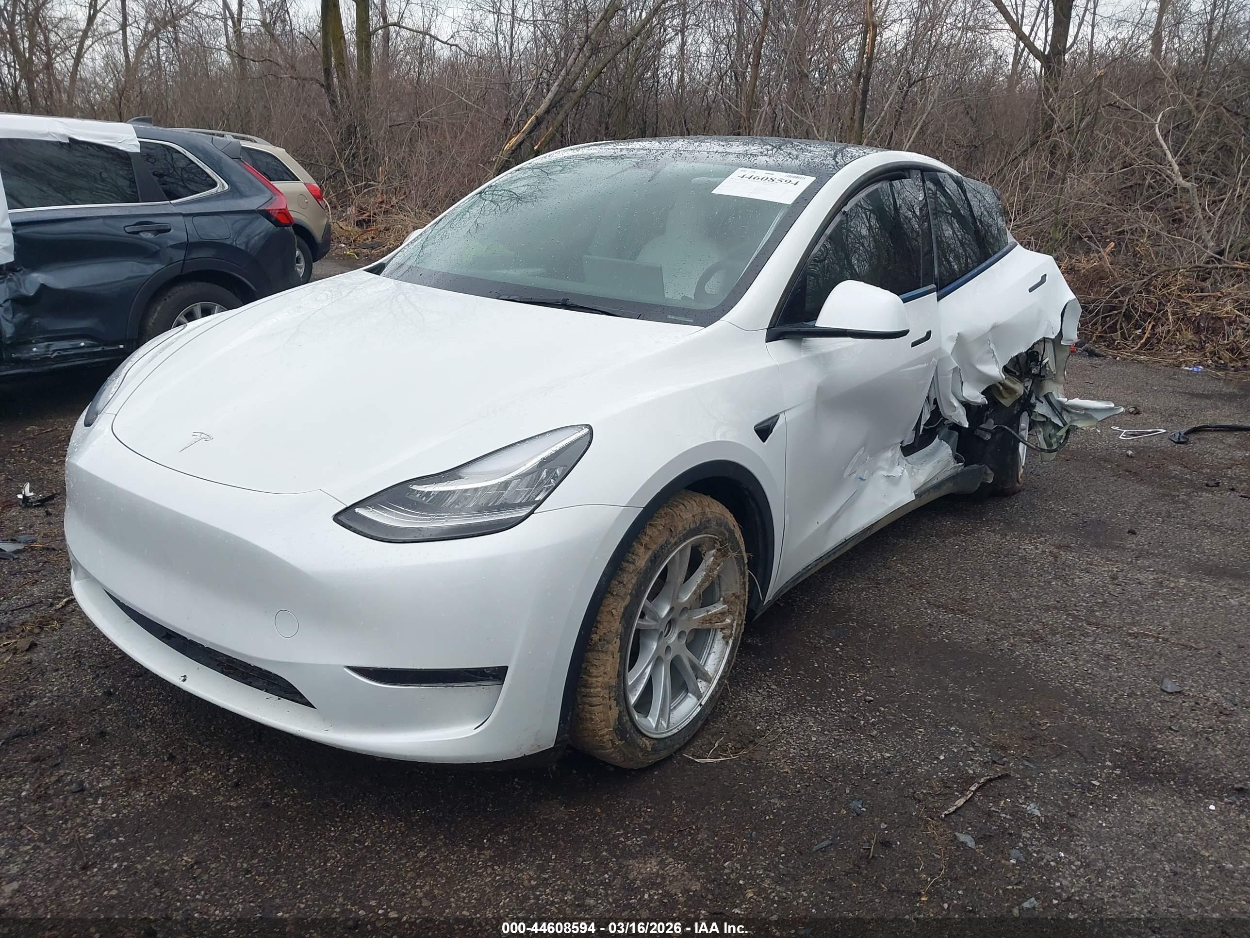 TESLA MODEL image 2