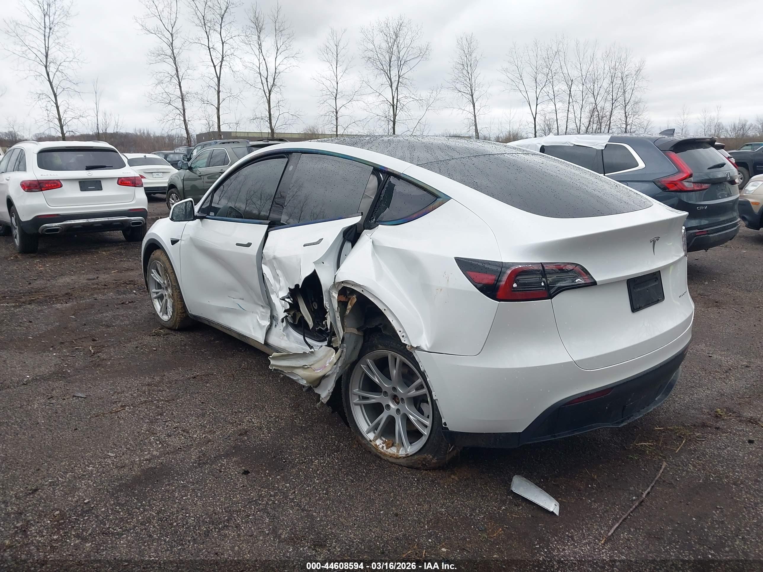 TESLA MODEL image 3