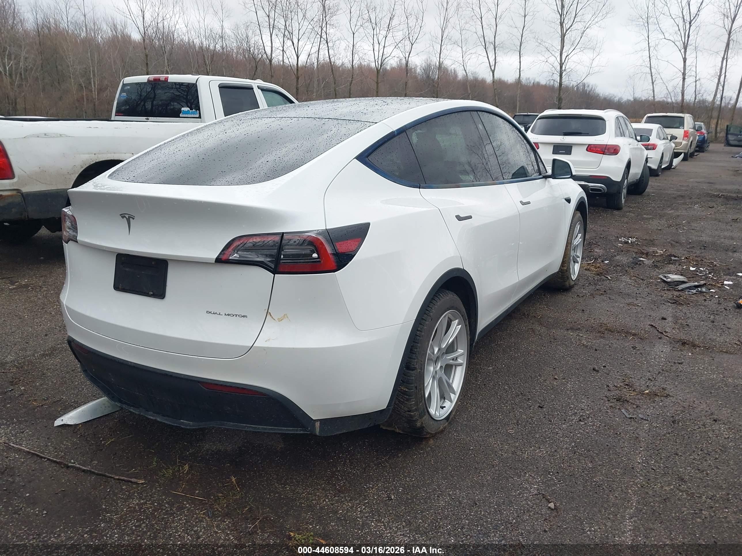 TESLA MODEL image 4