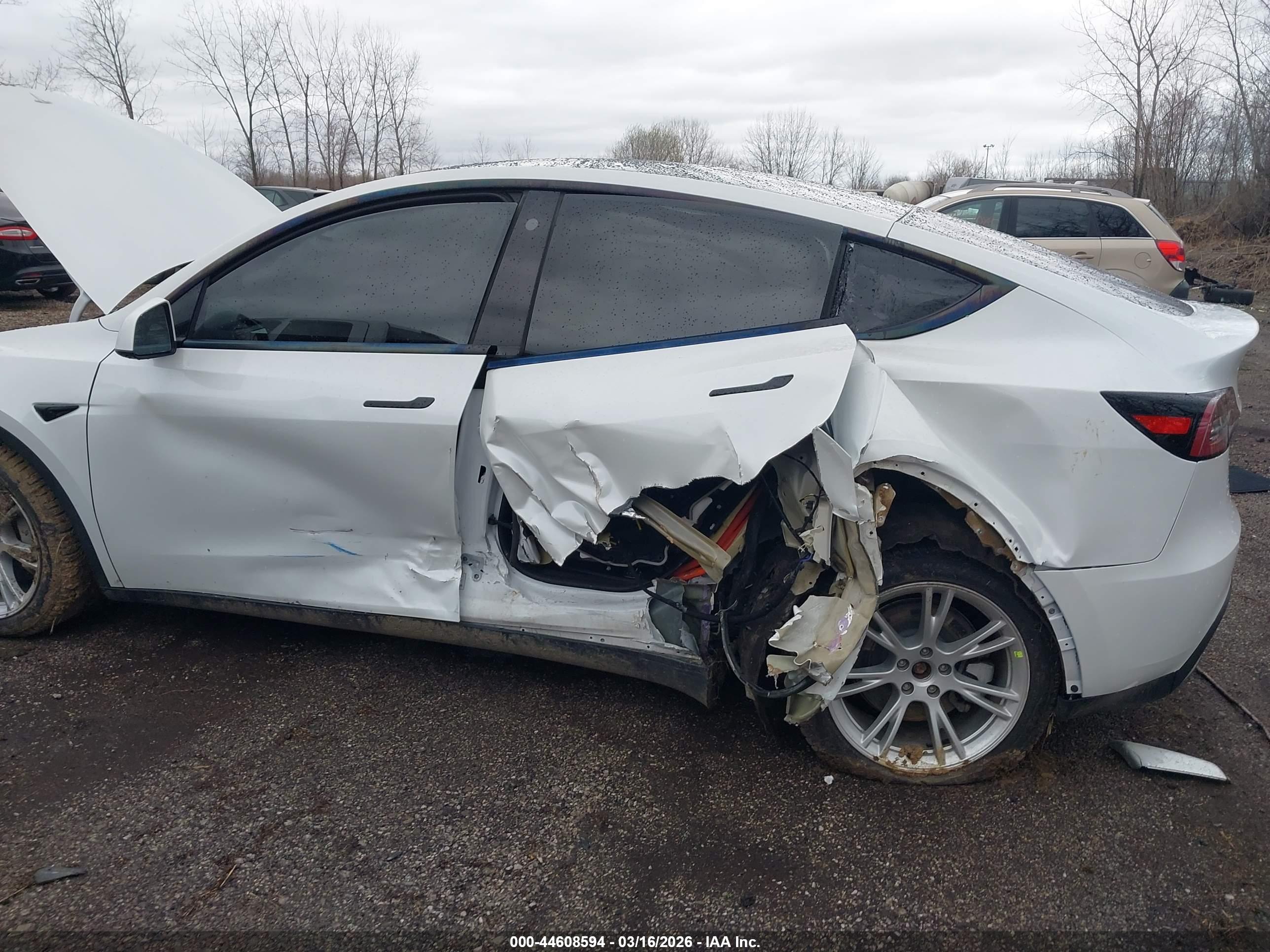 TESLA MODEL image 6