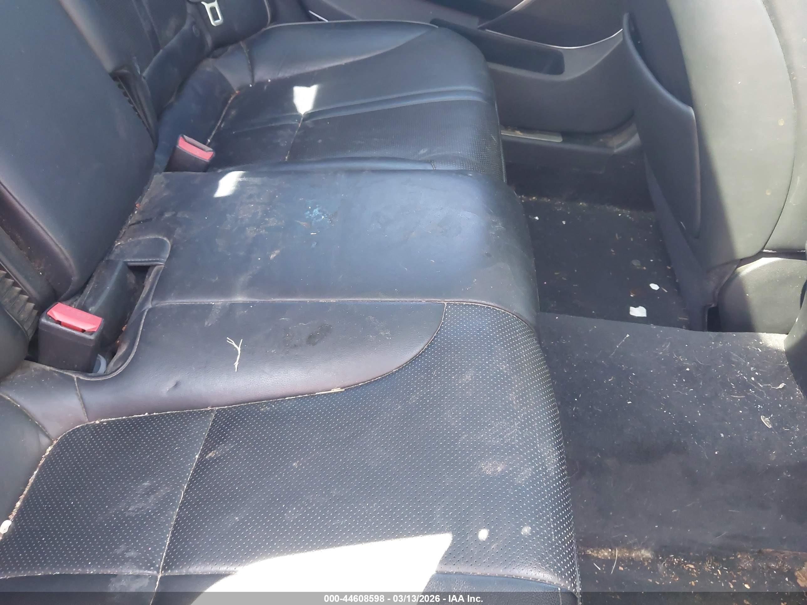KIA K900 image 8