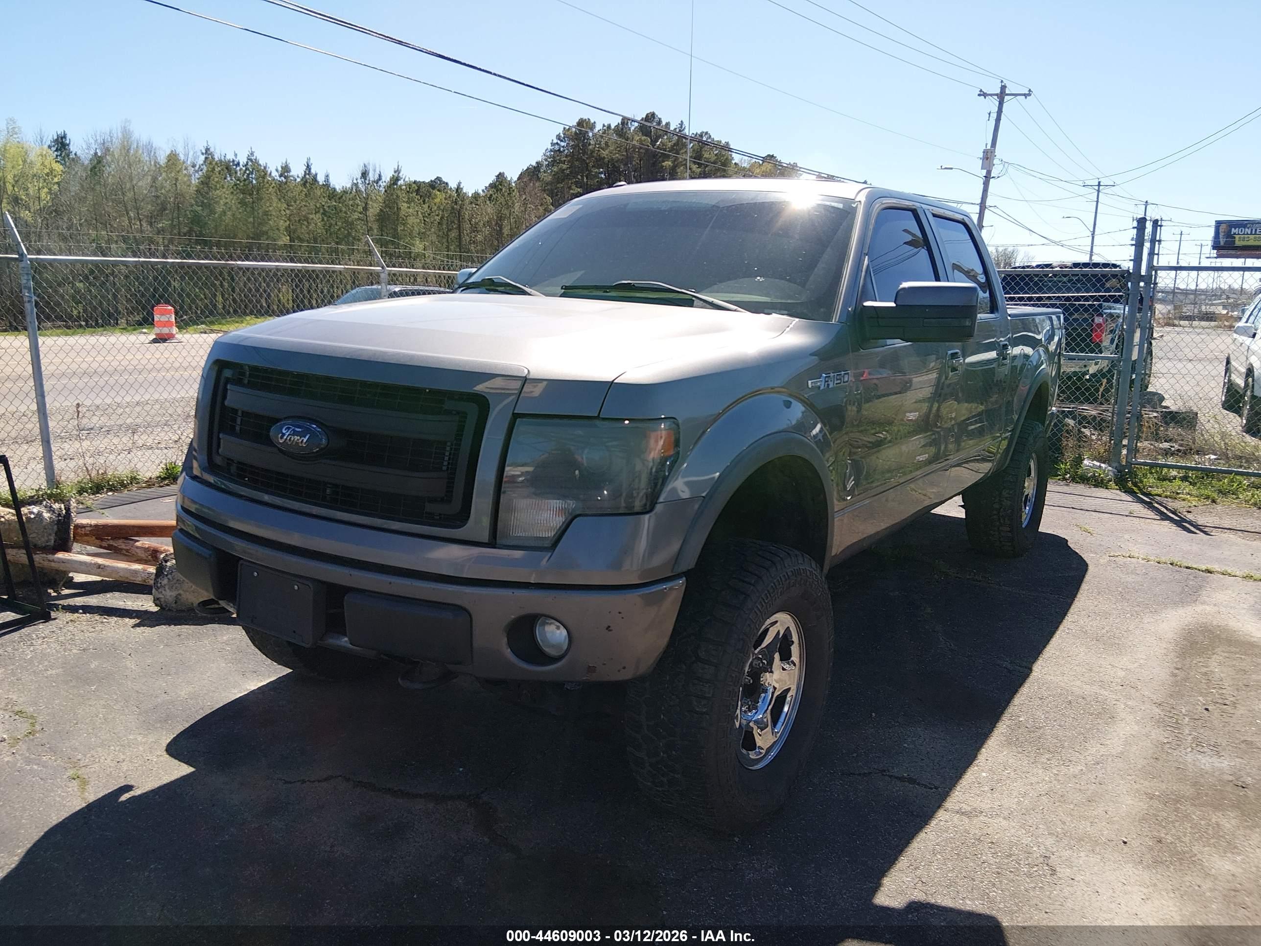 FORD F-150 image 2