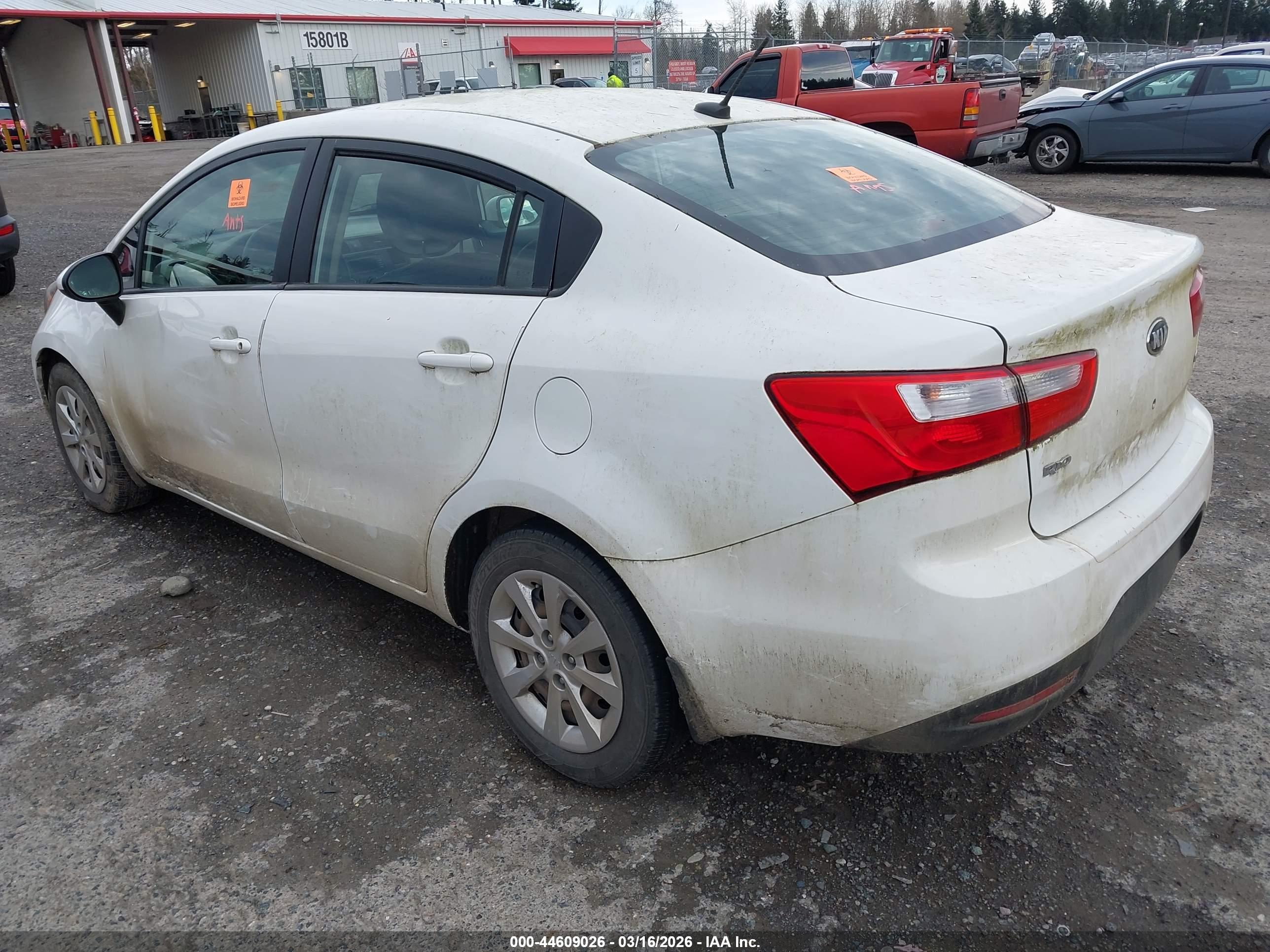 KIA RIO image 3