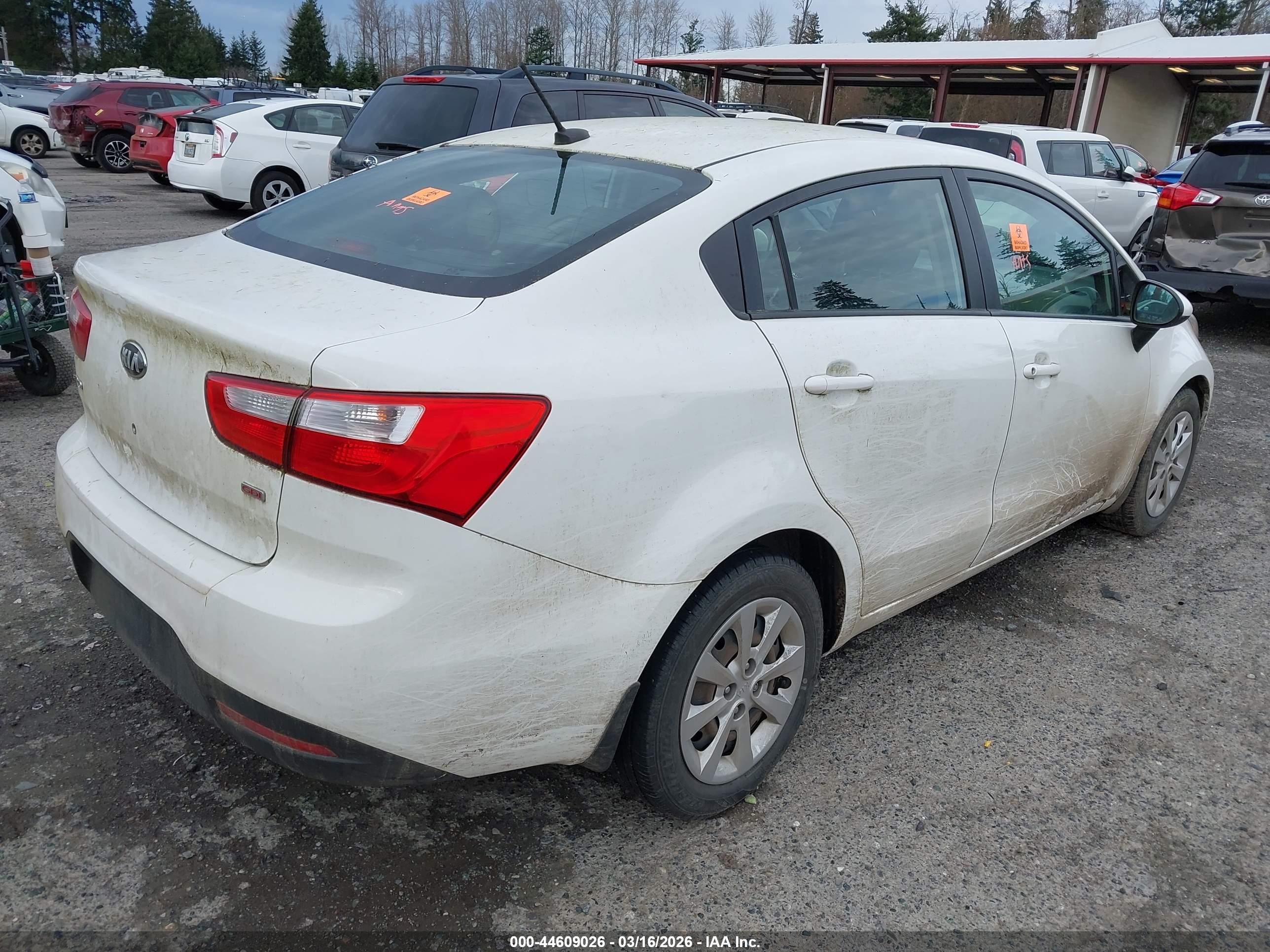 KIA RIO image 4
