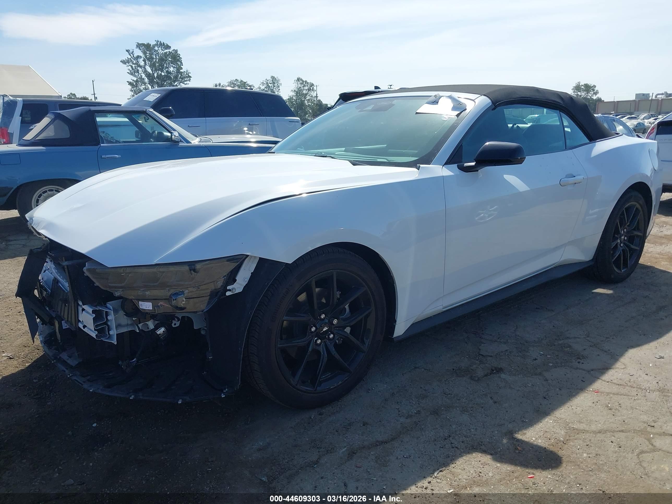 FORD MUSTANG image 2