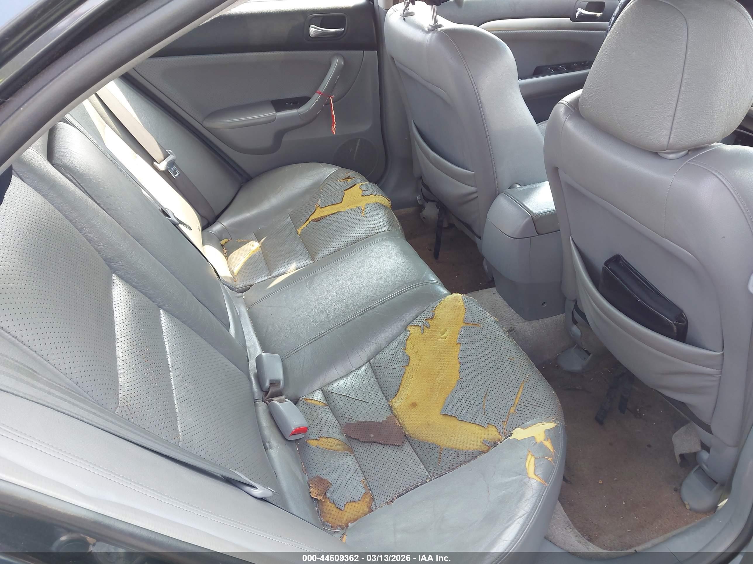 ACURA TSX image 8