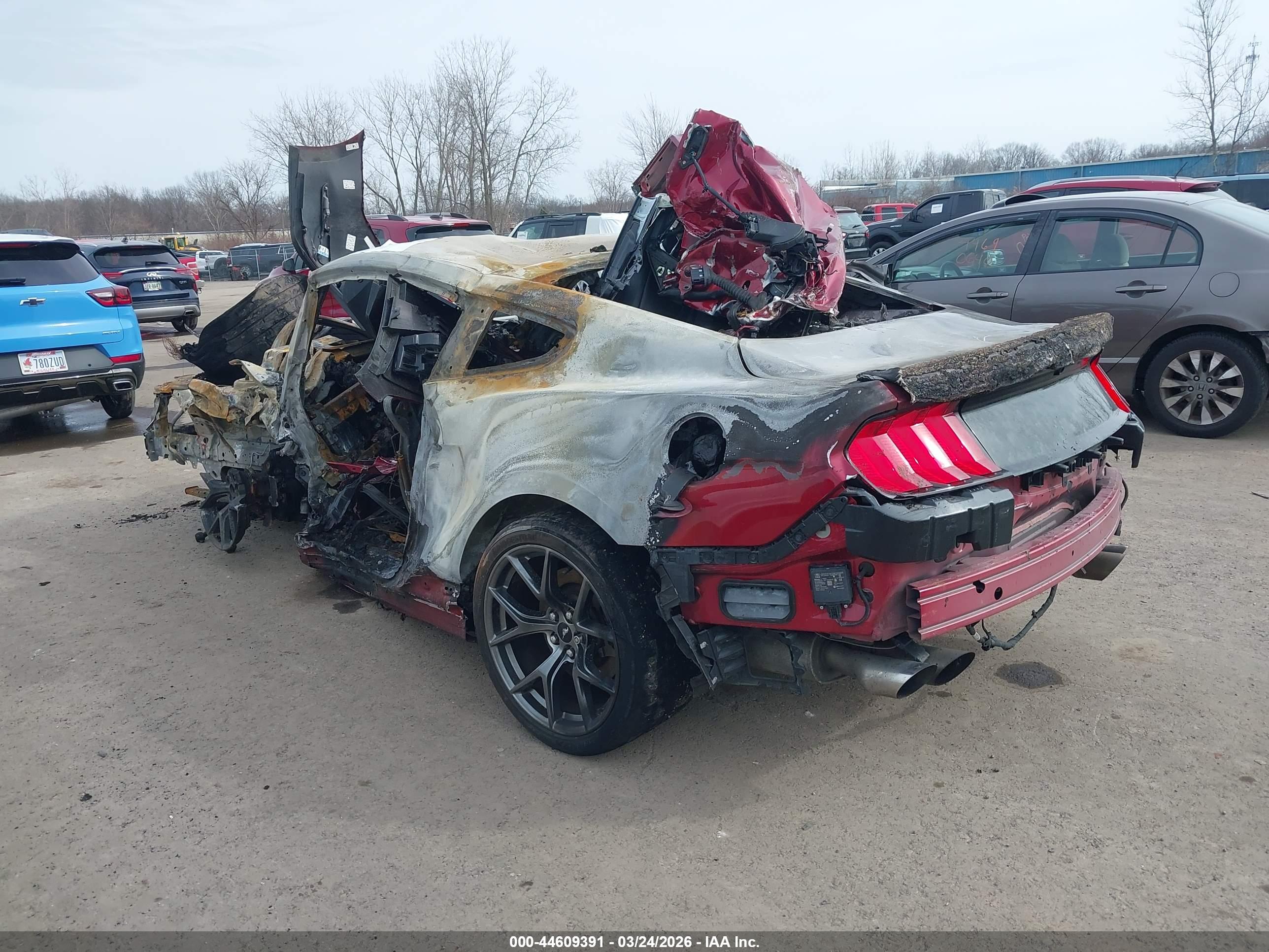 FORD MUSTANG image 3