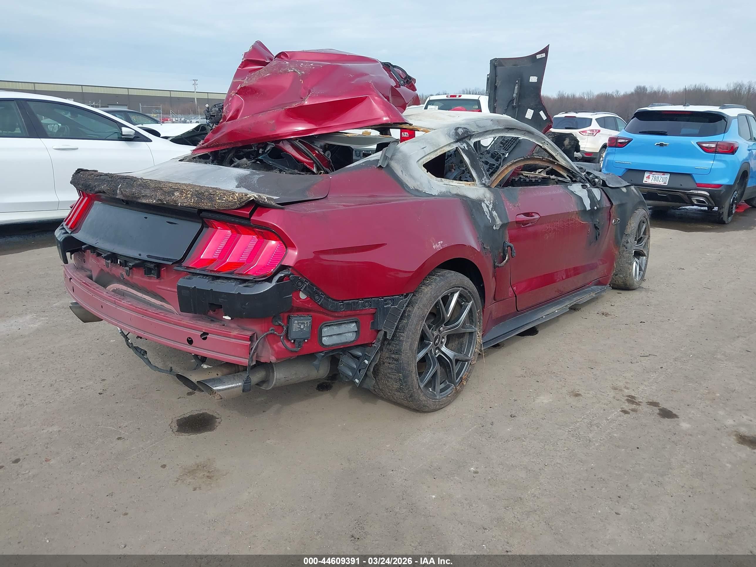 FORD MUSTANG image 4