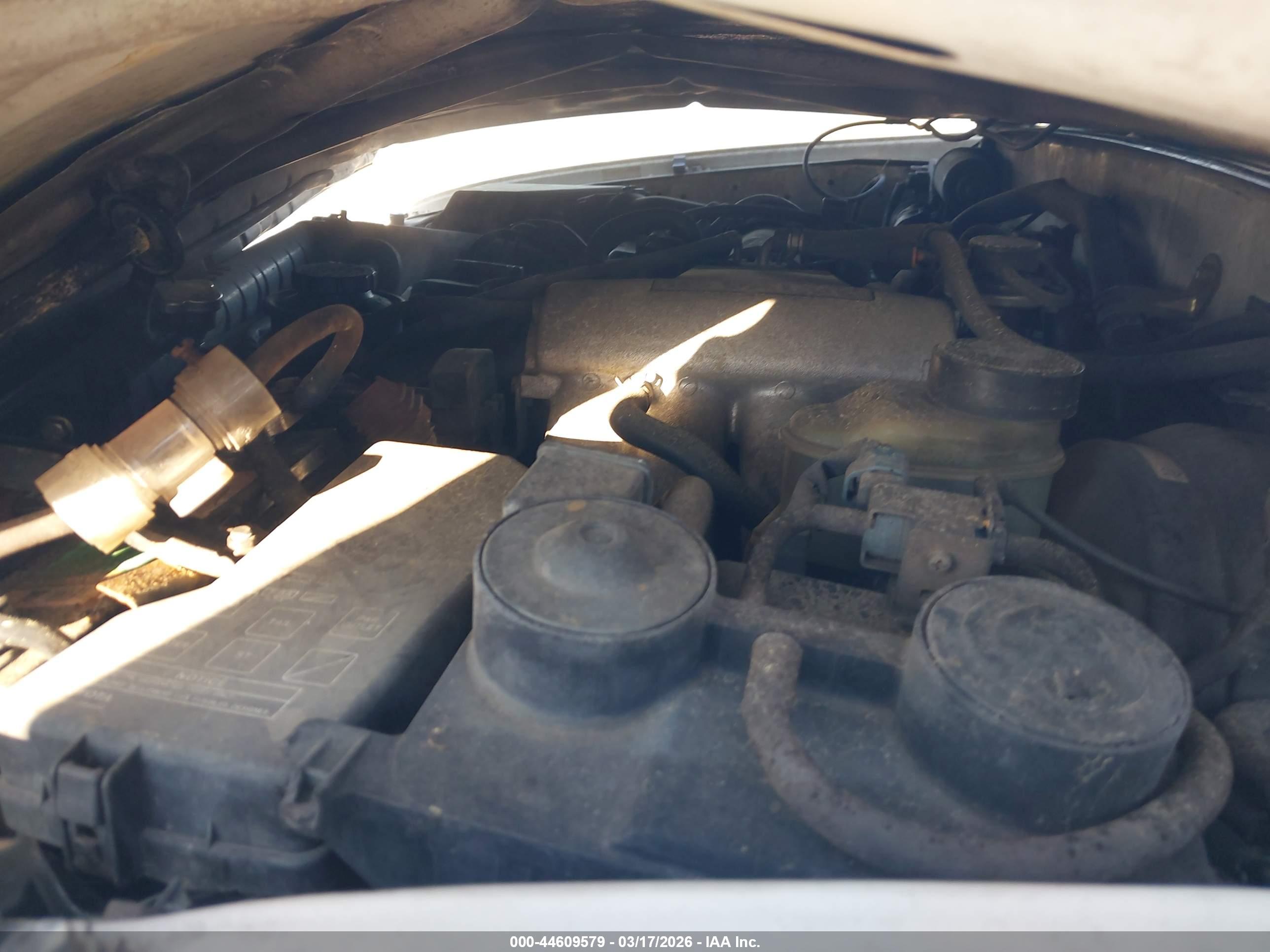 TOYOTA TACOMA image 10