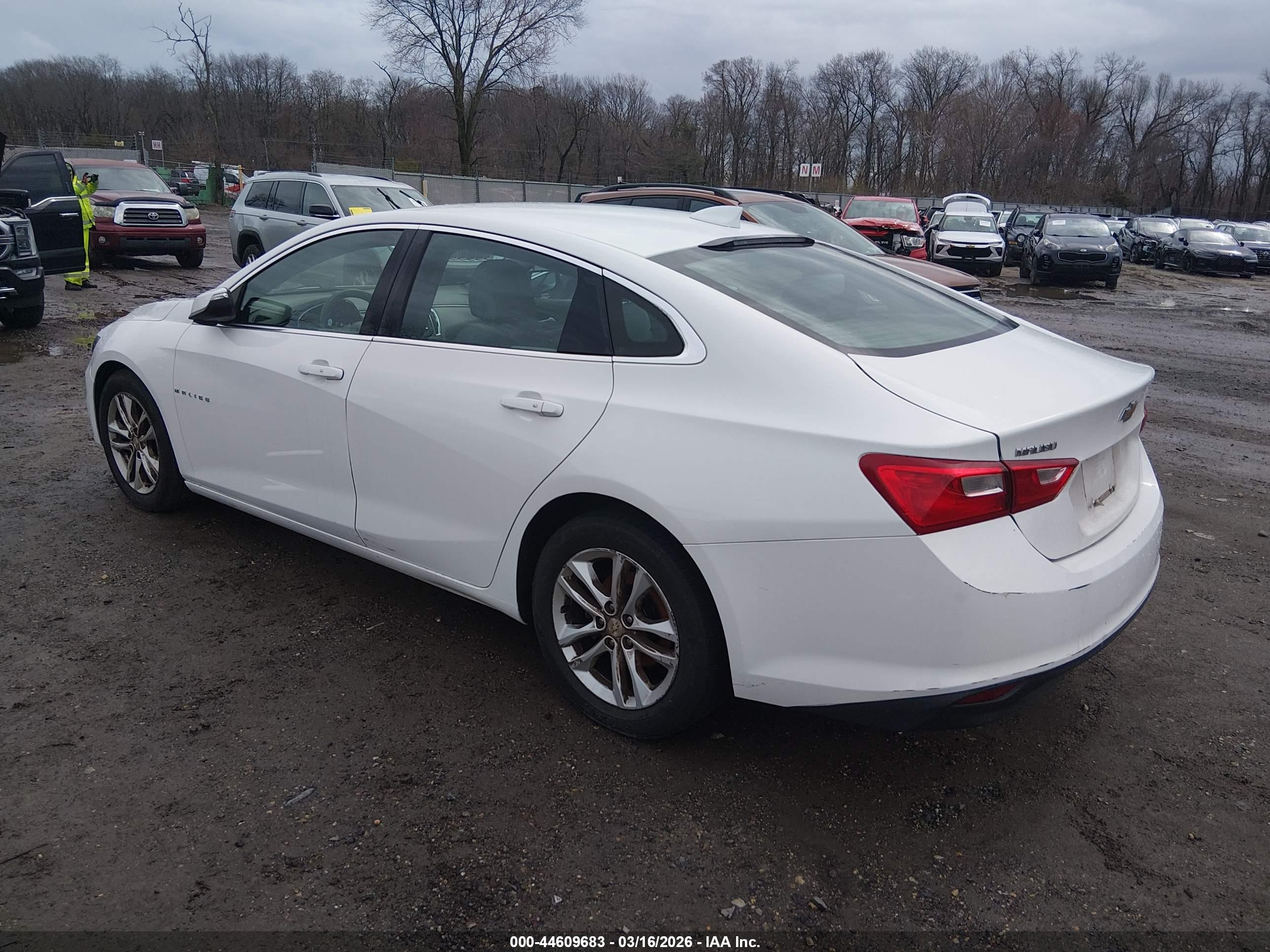 CHEVROLET MALIBU image 3