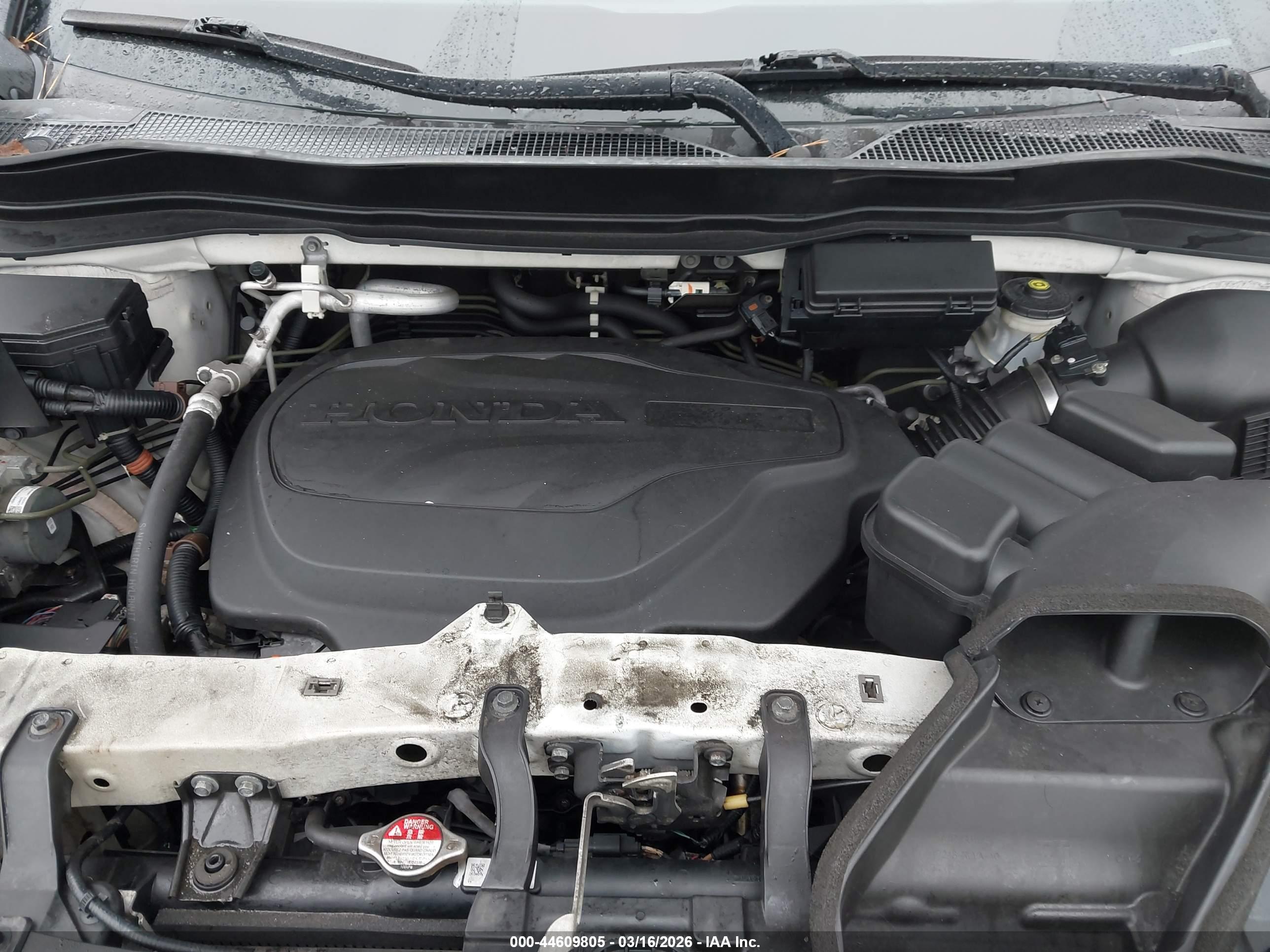 HONDA PASSPORT image 10