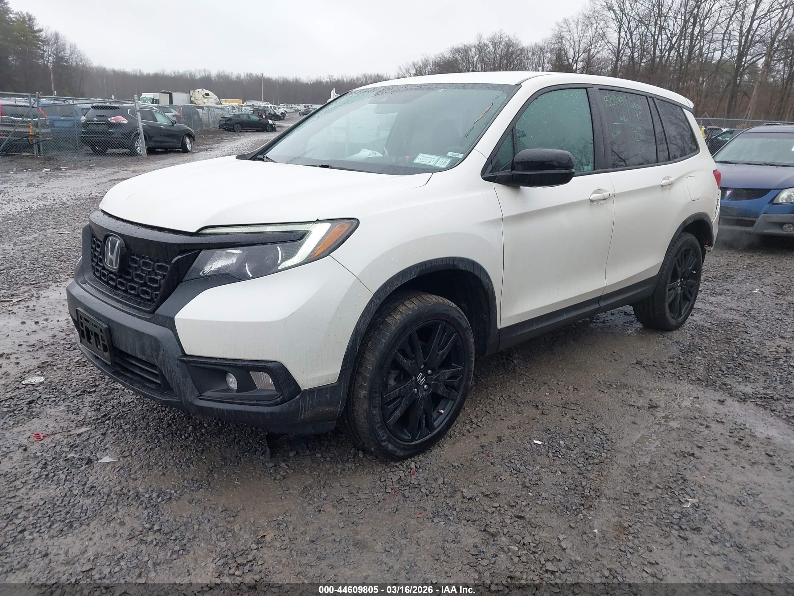 HONDA PASSPORT image 2